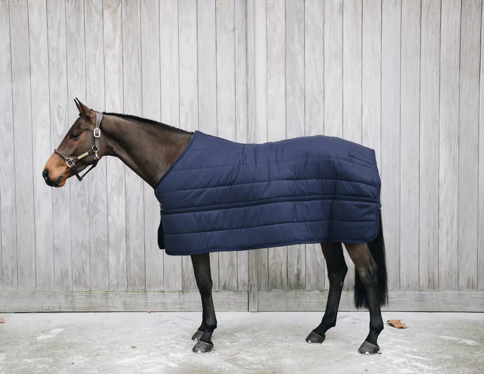 Kentucky - Under rug, 300g, navy