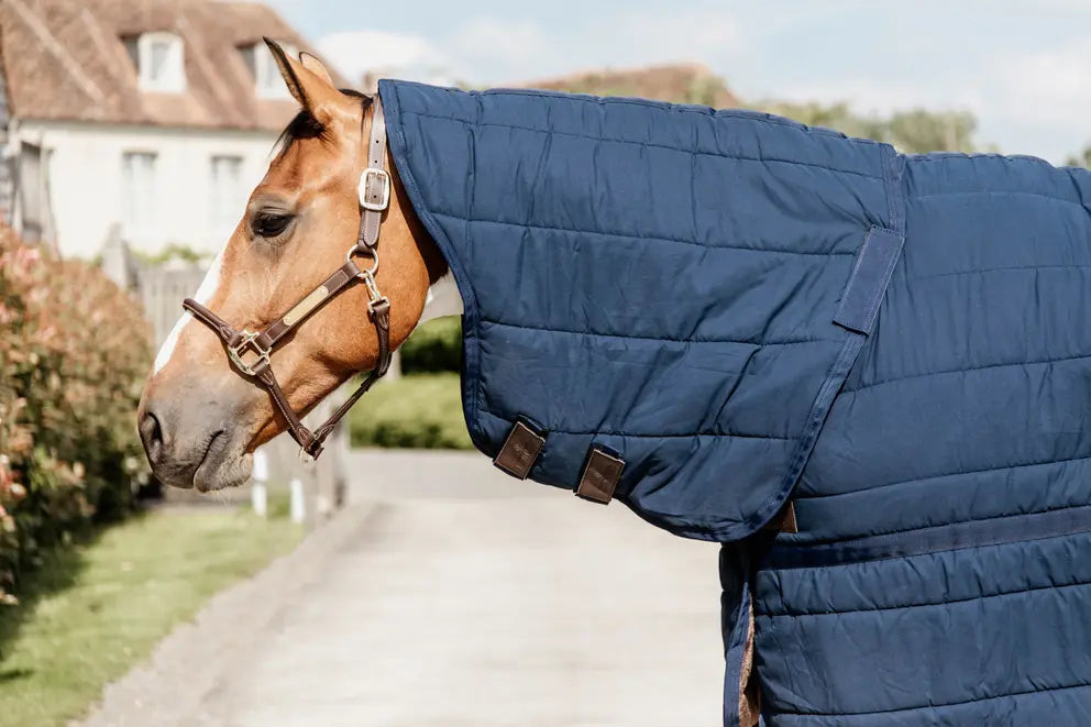 Kentucky - Under Rug skin friendly neck, navy, 150 gram