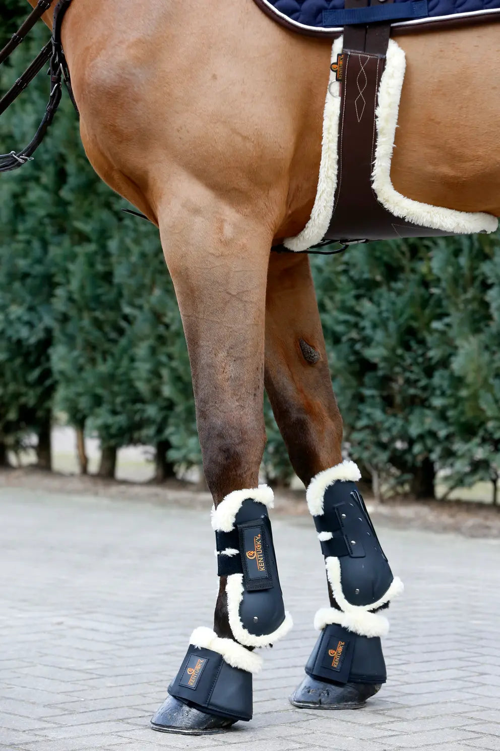 Kentucky - Springplade med lammeskind