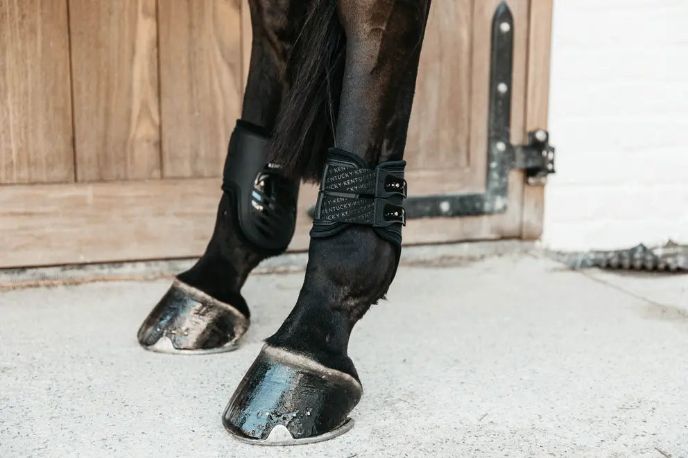 Kentucky - Gamacher, Fetlock Boots Elastic M black
