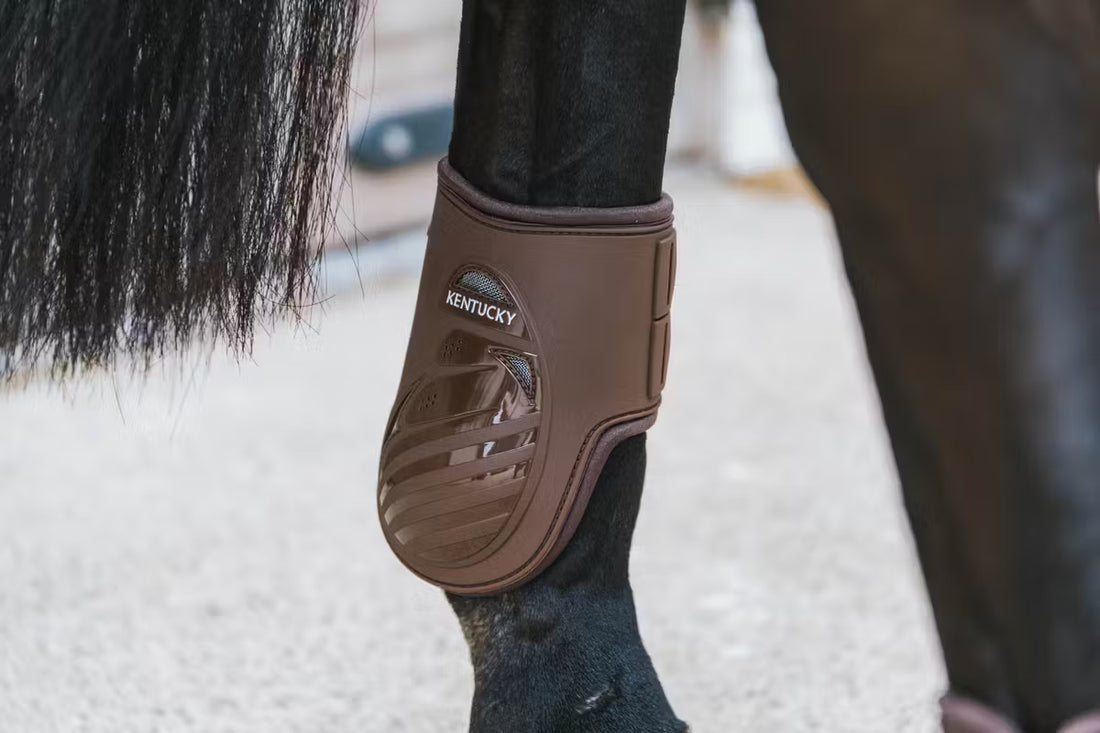 Kentucky, Spring gamache, Benben- Brun