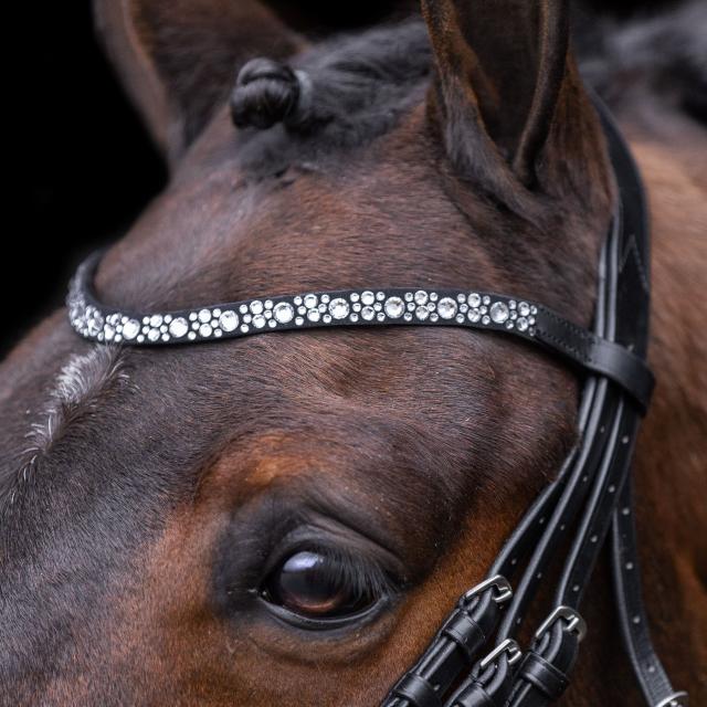 Imperial Ridning, Hovedtøj, Olympia- Black