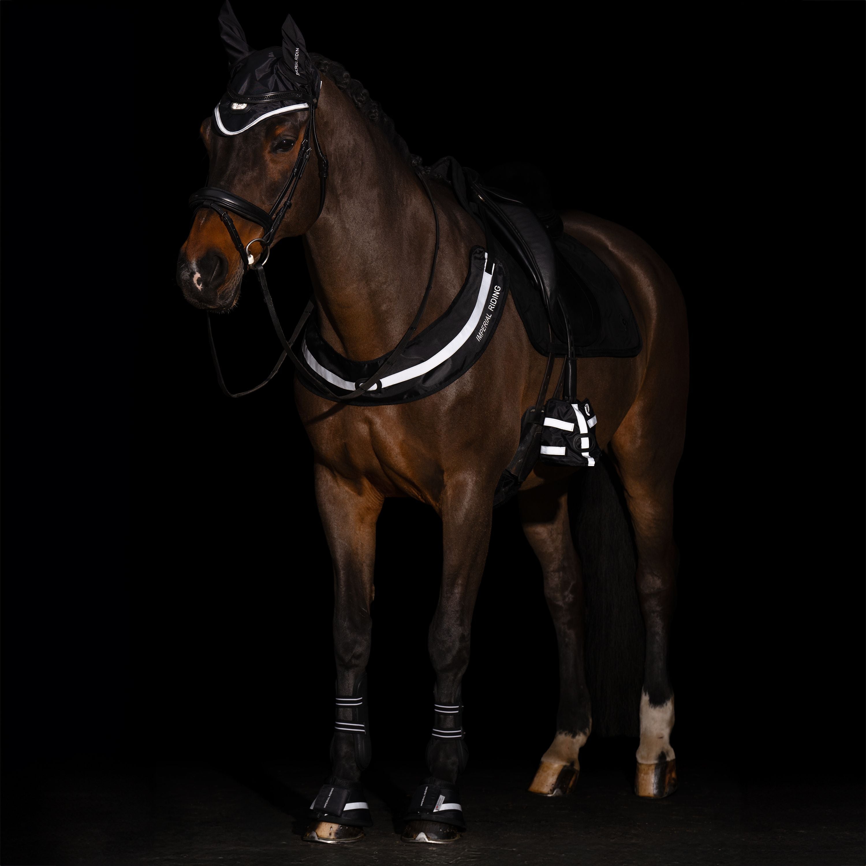 Imperial ridning, Bringe reflex, Luminous- Reflex