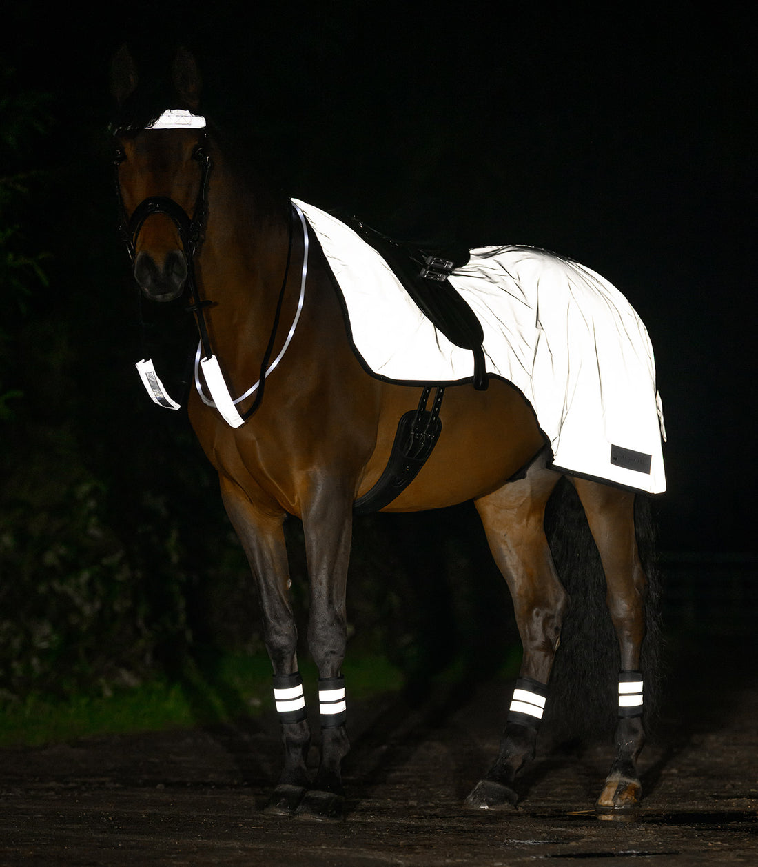 Waldhausen - REFLEX Exercise rug, silver grey