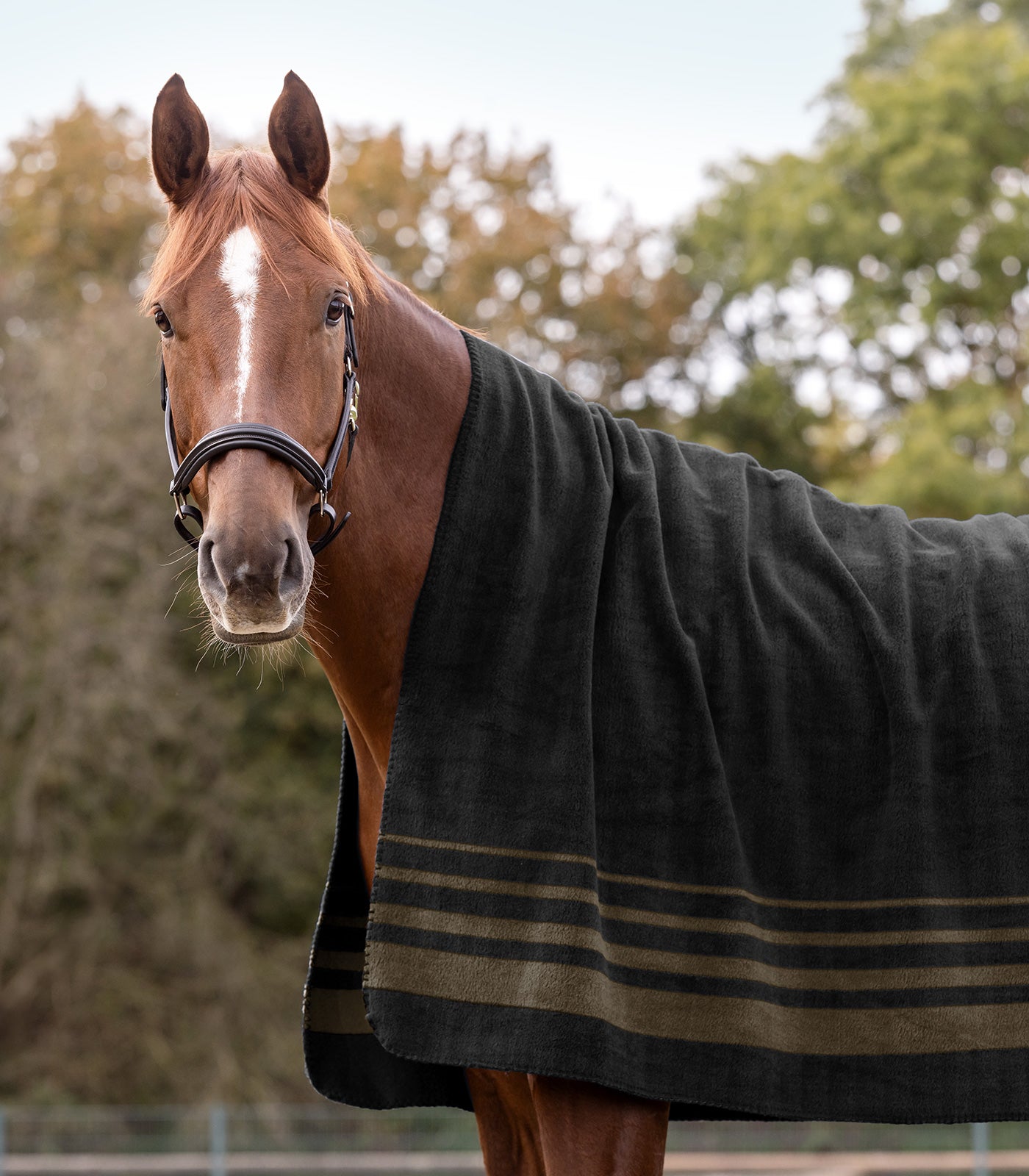 Waldhausen - Fleece rug Sölden