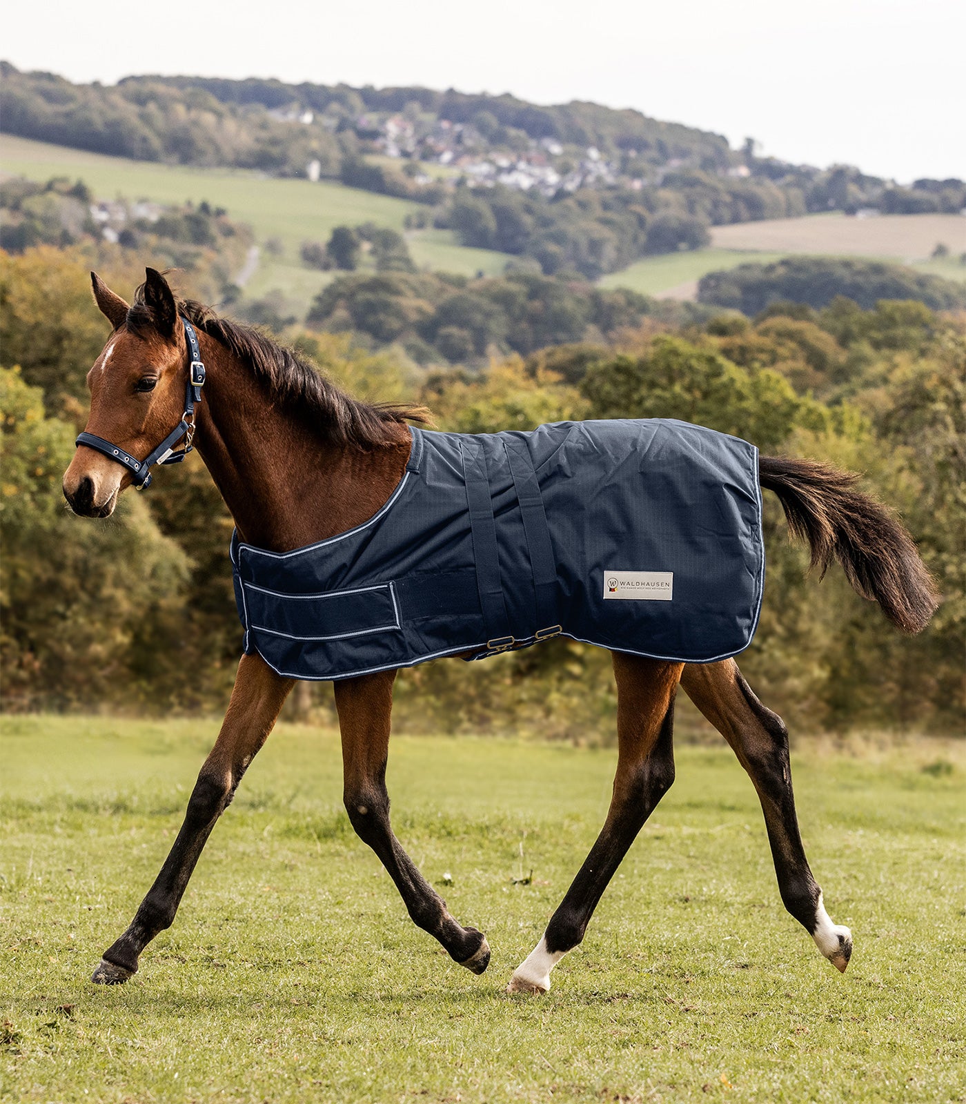 Waldhausen - Foal Rug 100 g, waterproof