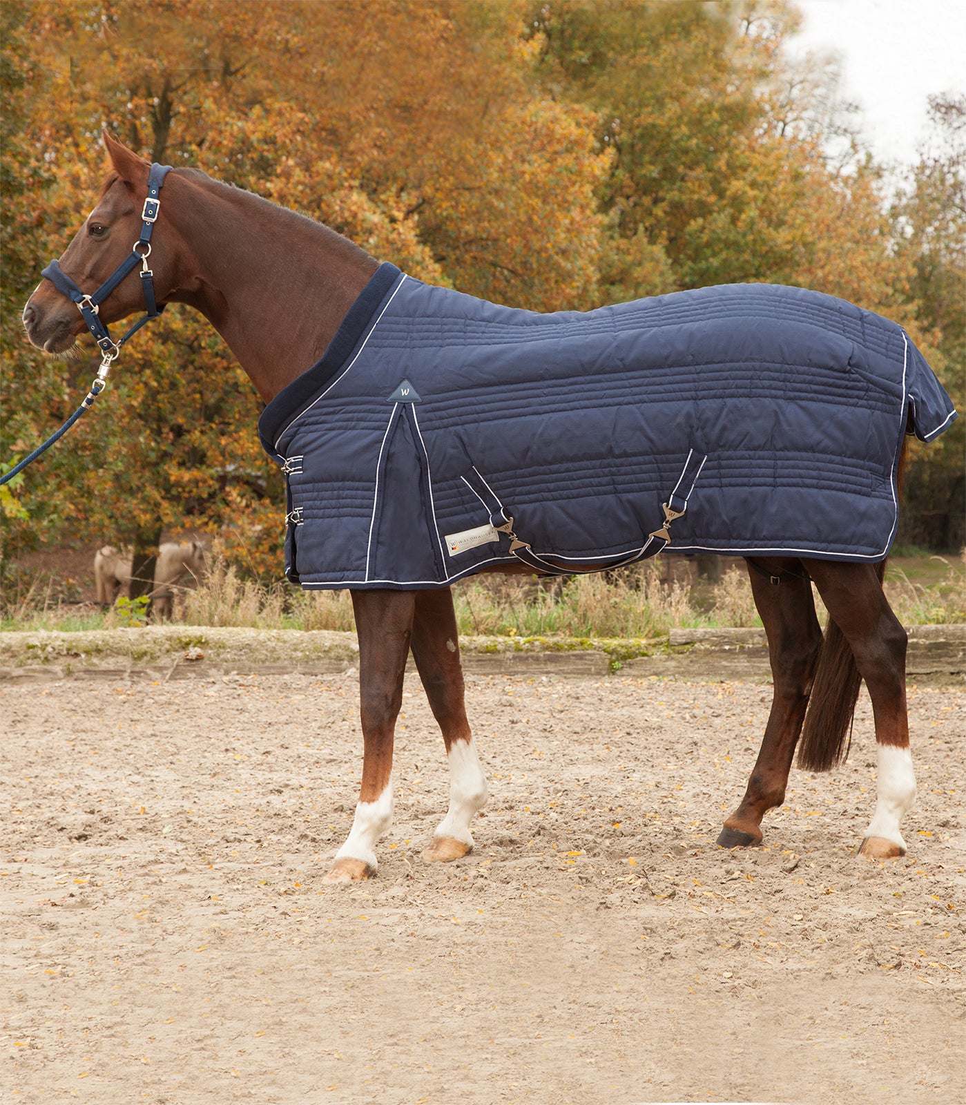 Waldhausen - Stable Rug comfort Line, 300 g, night blue
