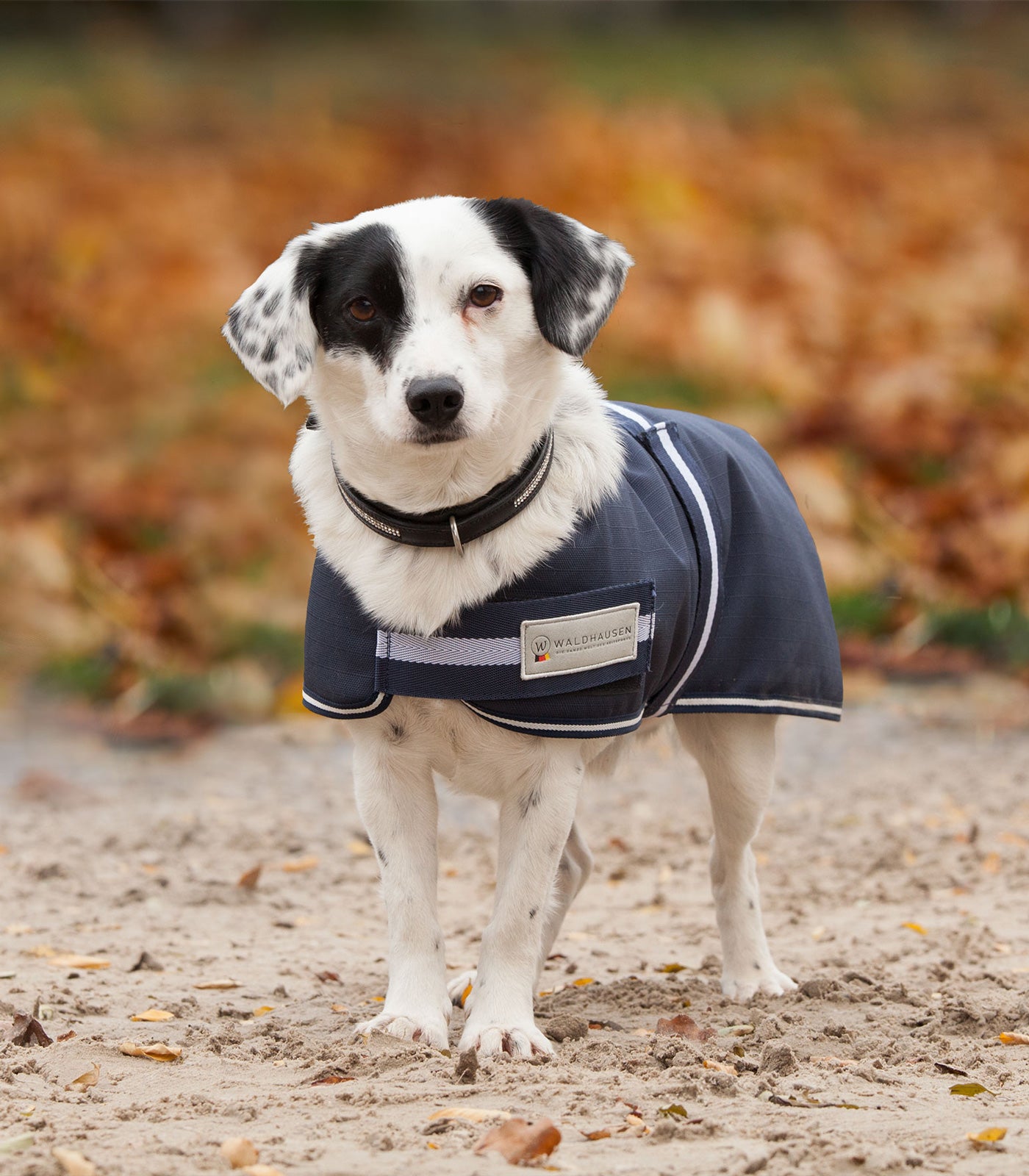 Waldhausen - Outdoor dog rug Comfort