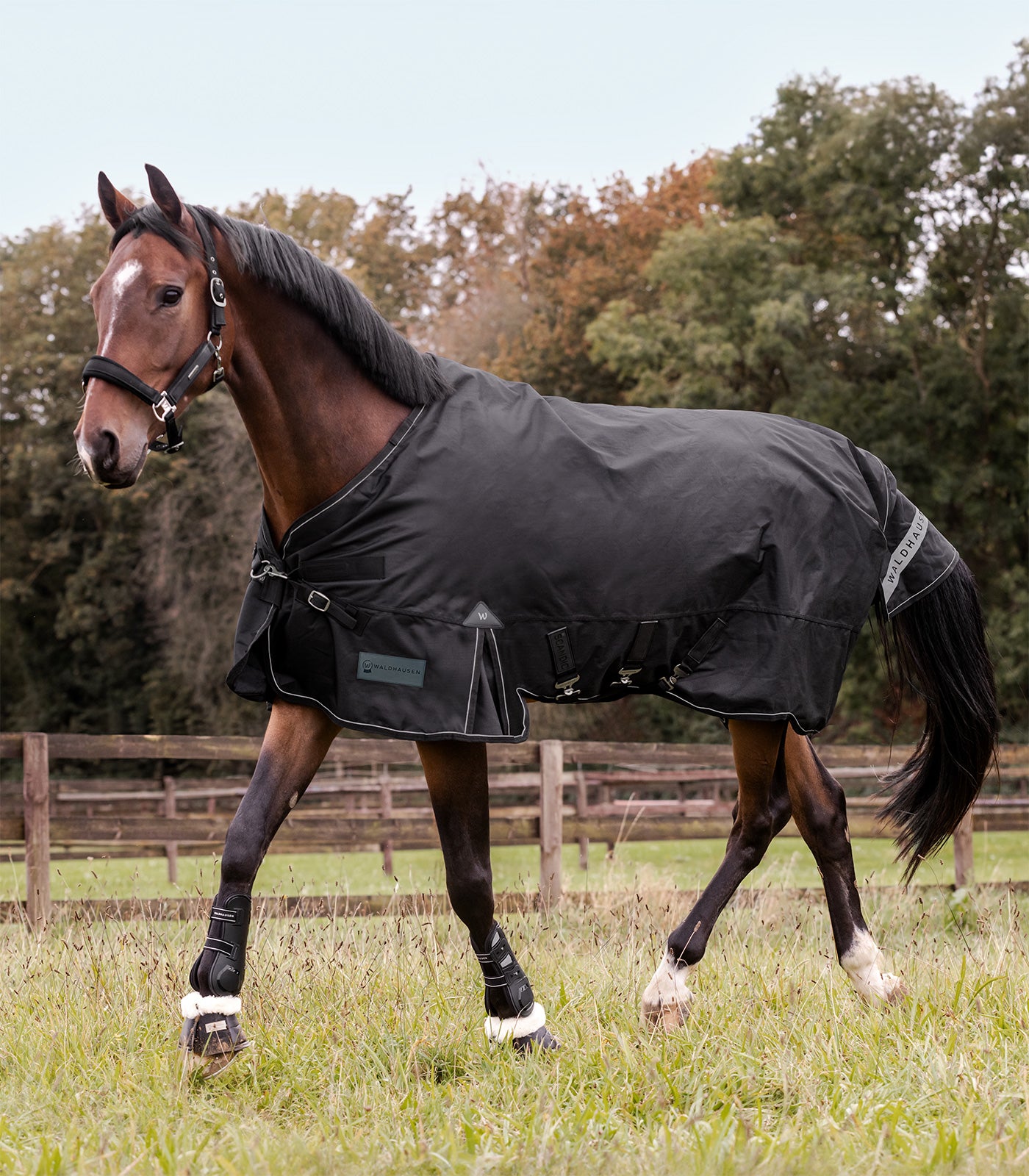Waldhausen - Outdoor Rug Scandic, 200 g