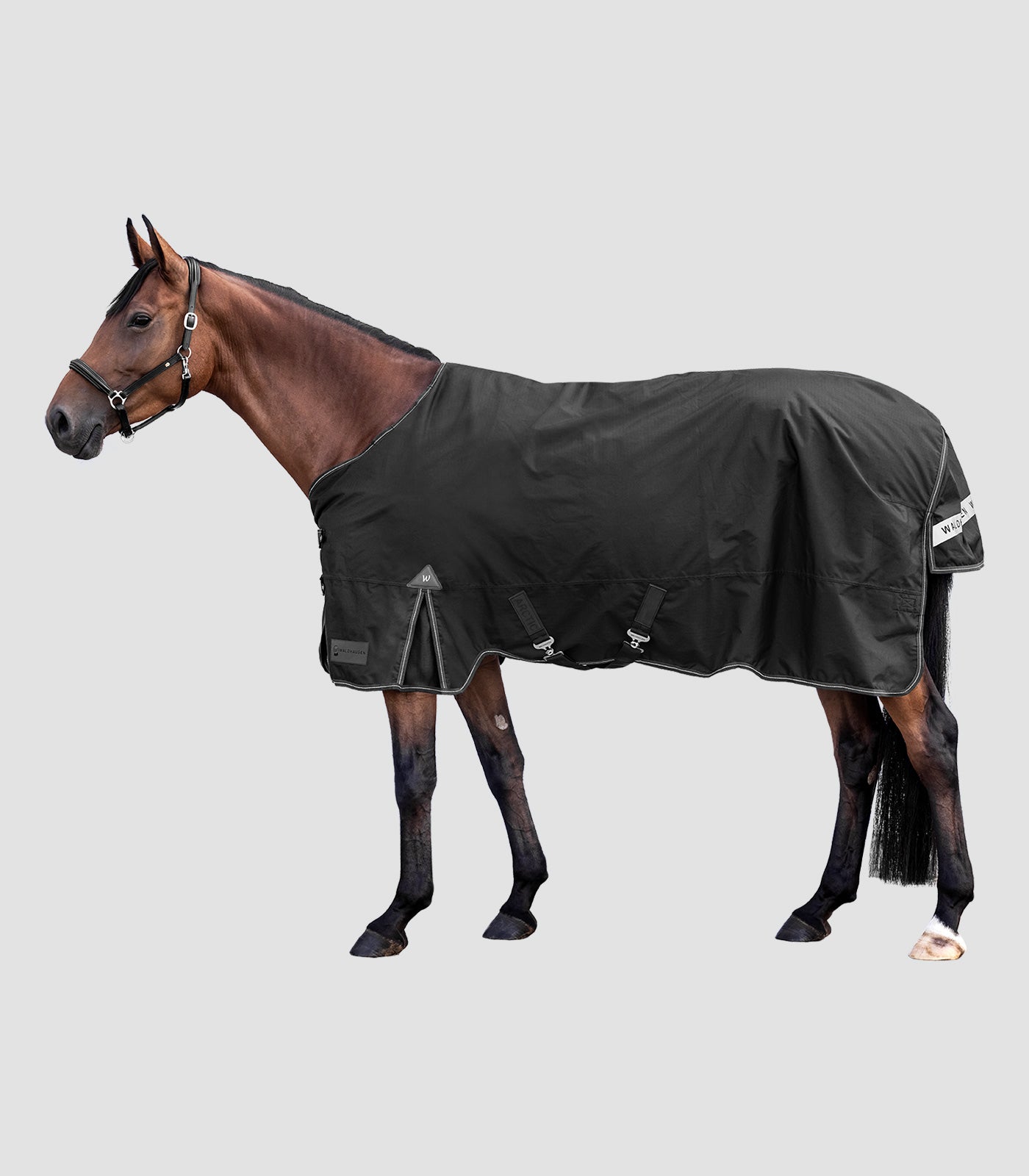 Waldhausen - Outdoor Rug Arctic