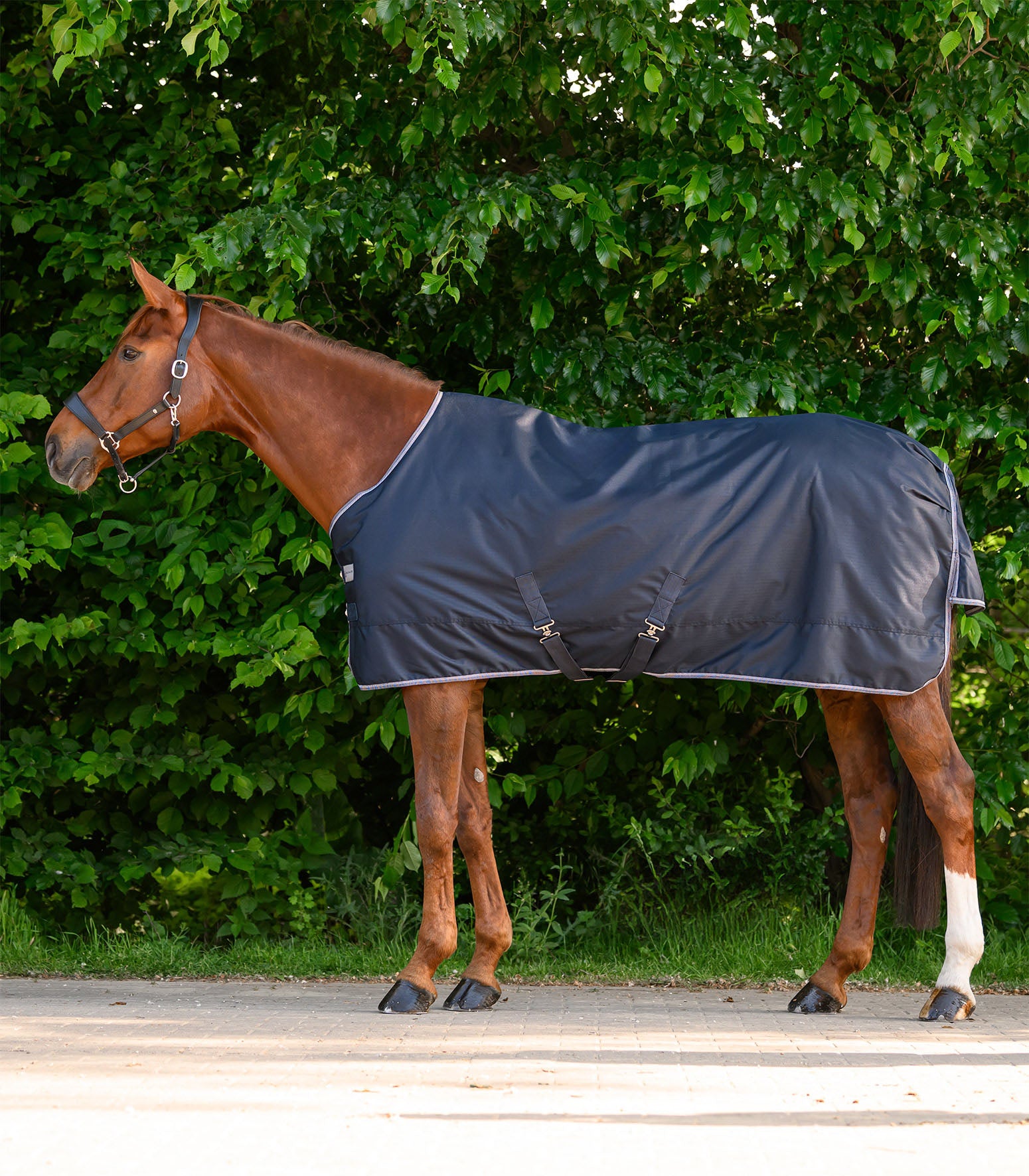Waldhausen - ECONOMIC Outdoor rug