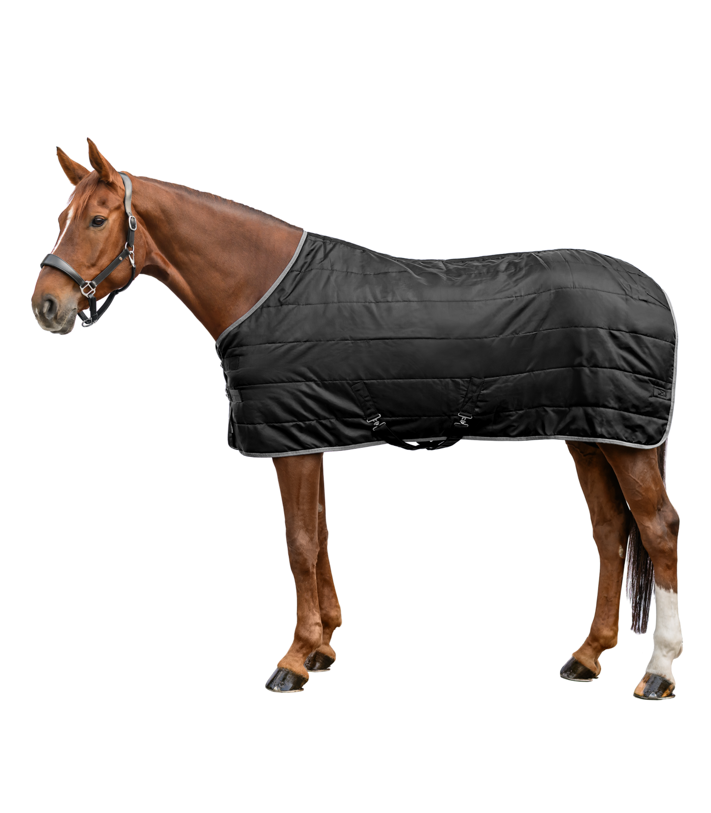 Waldhausen - ECONOMIC Stable Rug 100 g