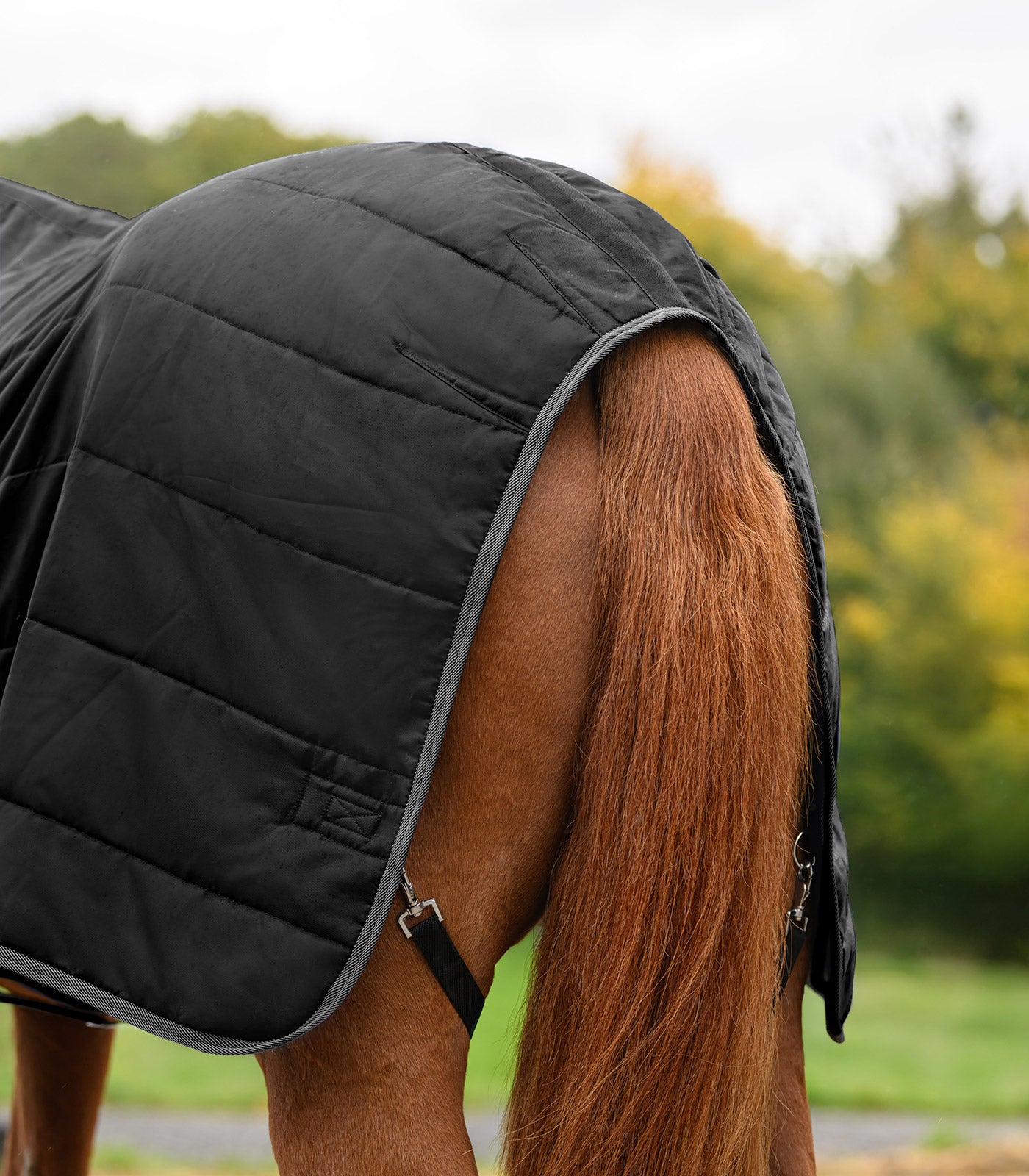 Waldhausen - ECONOMIC Stable Rug