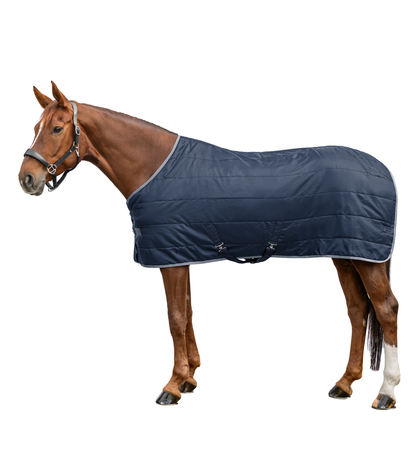 Waldhausen - ECONOMIC Stable Rug