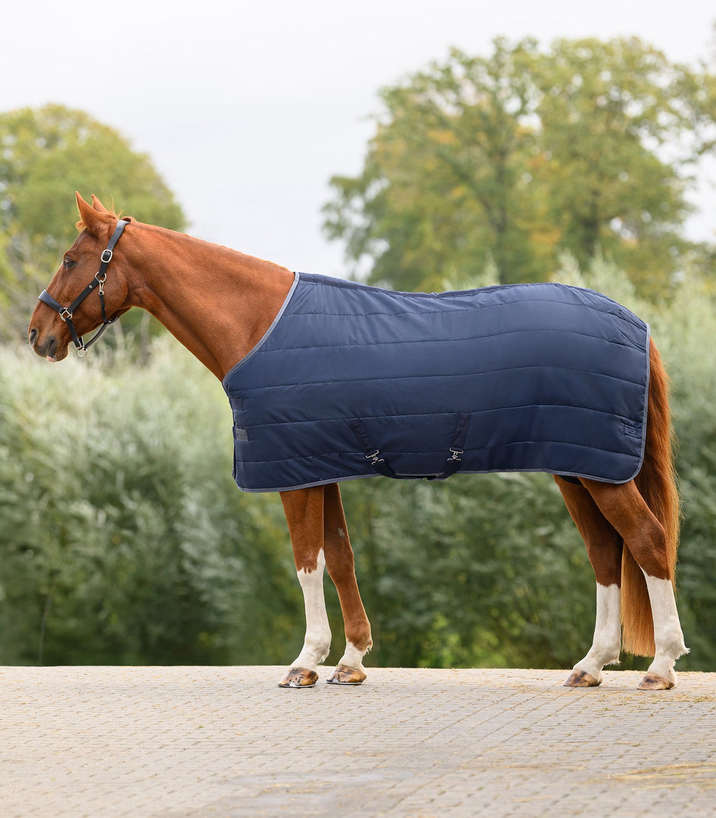 Waldhausen - ECONOMIC Stable Rug