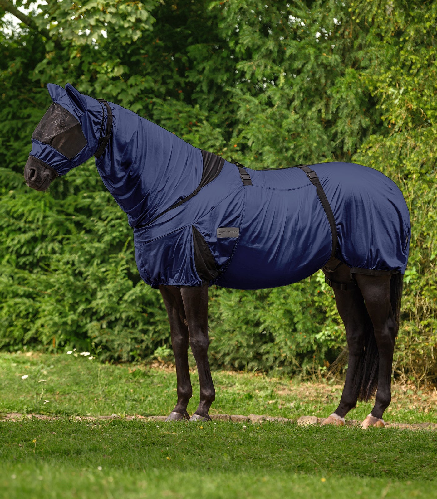 Waldhausen - Eczemer rug Premium