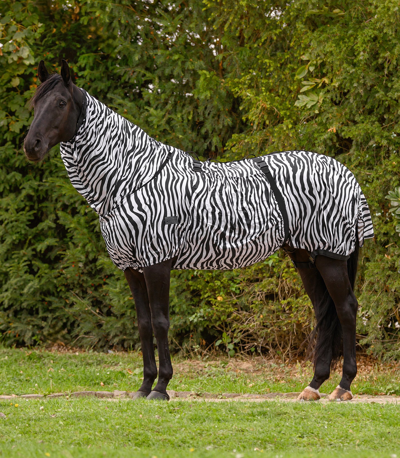 Waldhausen - Eczemer rug Zebra Basic
