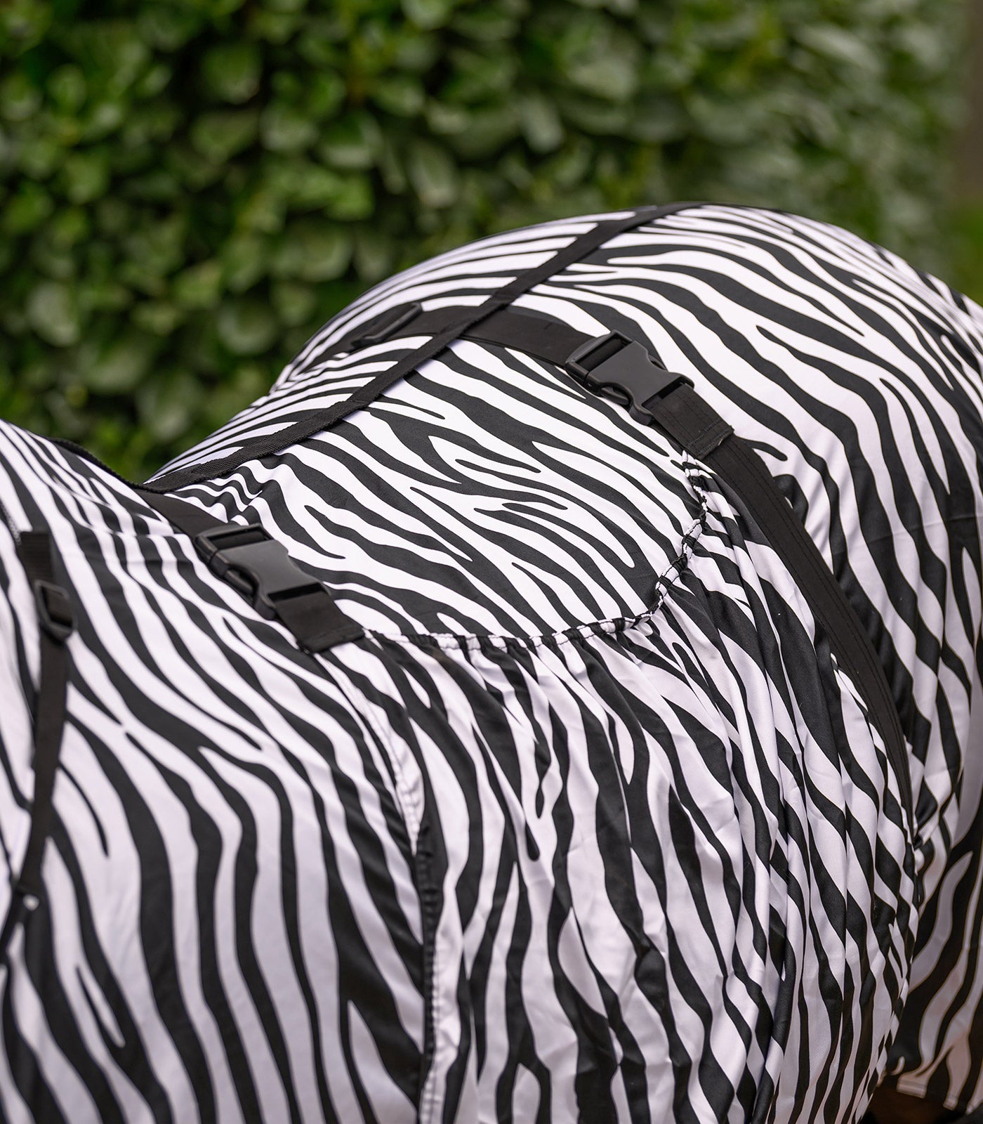 Waldhausen - Eczemer rug Zebra Basic