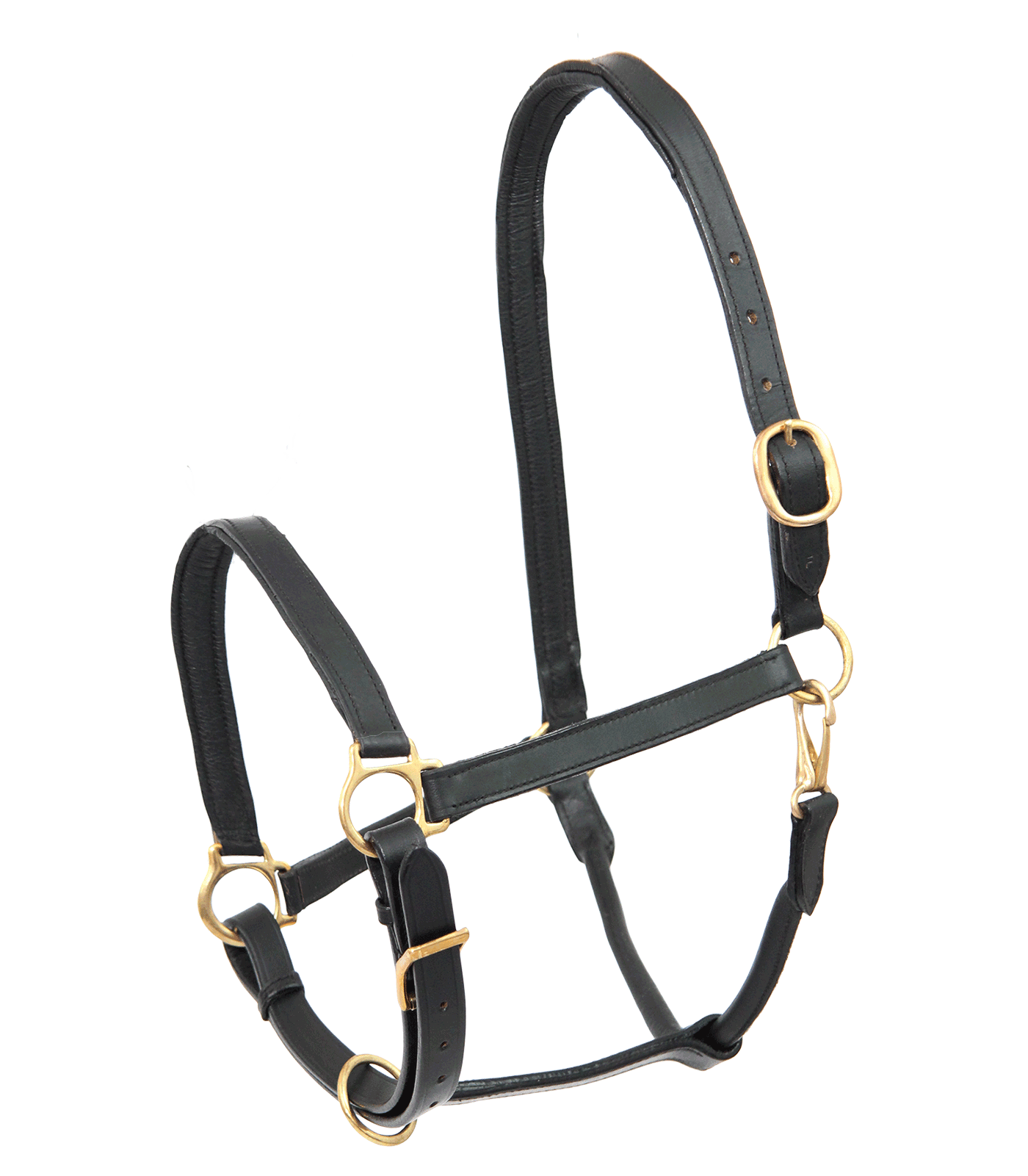 STAR - Leather Halter, black