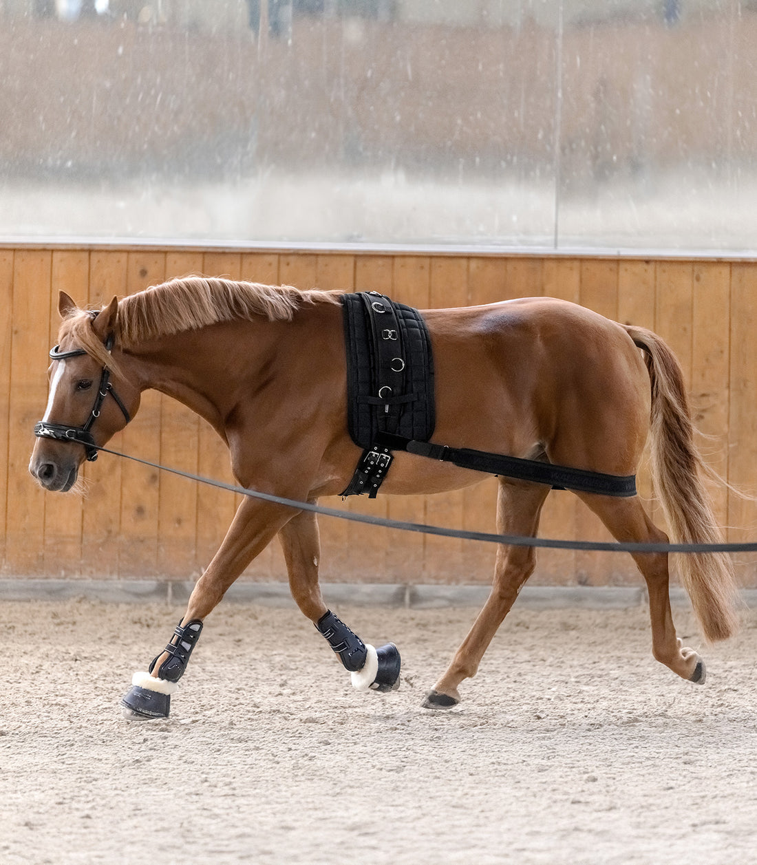 Waldhausen - Body bandage - activation of the hindquarters, black, Cob/Full
