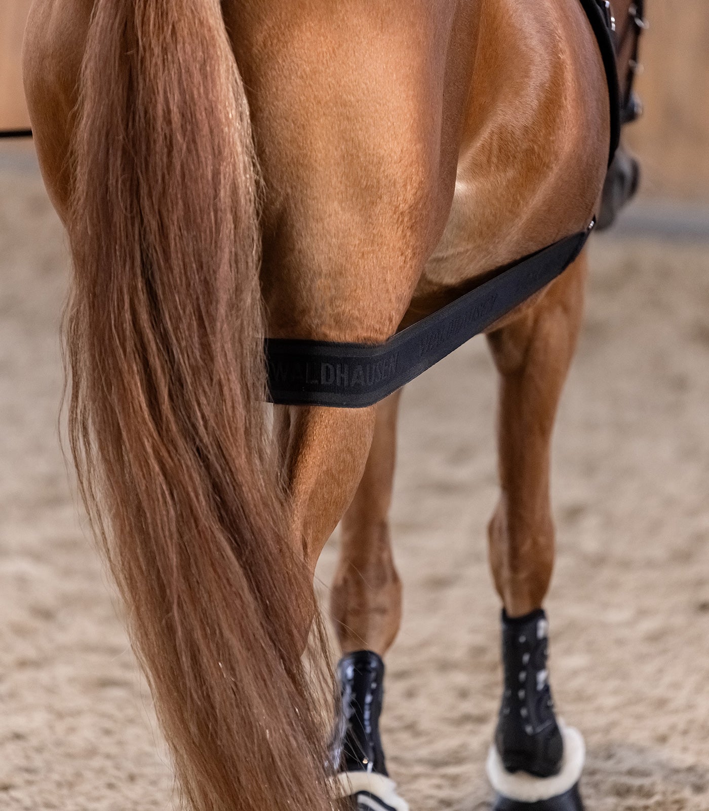Waldhausen - Body bandage - activation of the hindquarters, black, Cob/Full