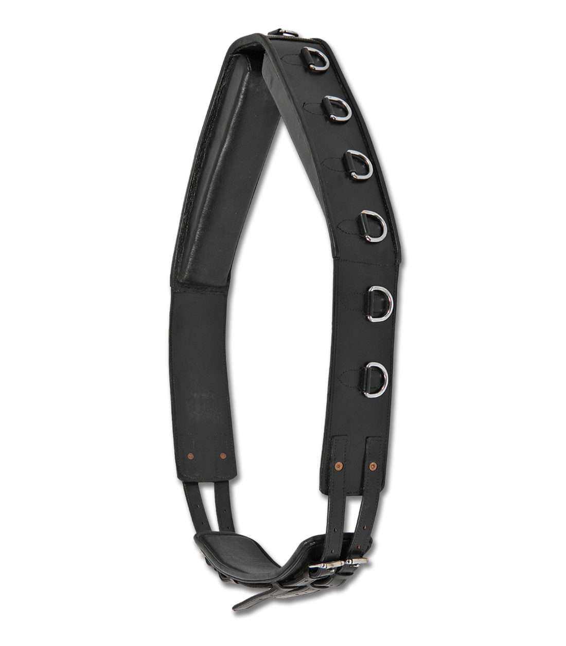 Waldhausen - Lunging surcingle leather, black, Full