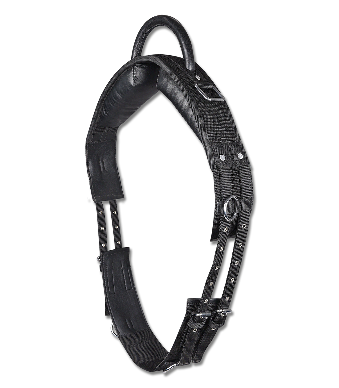 STAR - Lunging girth with handle, synthetic, black