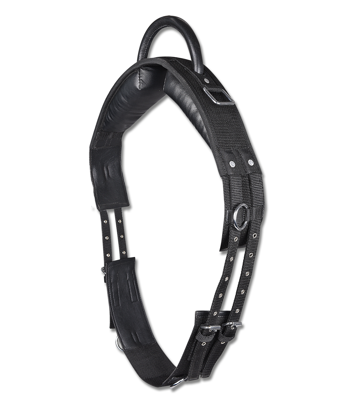 STAR - Lunging girth with handle, synthetic, black