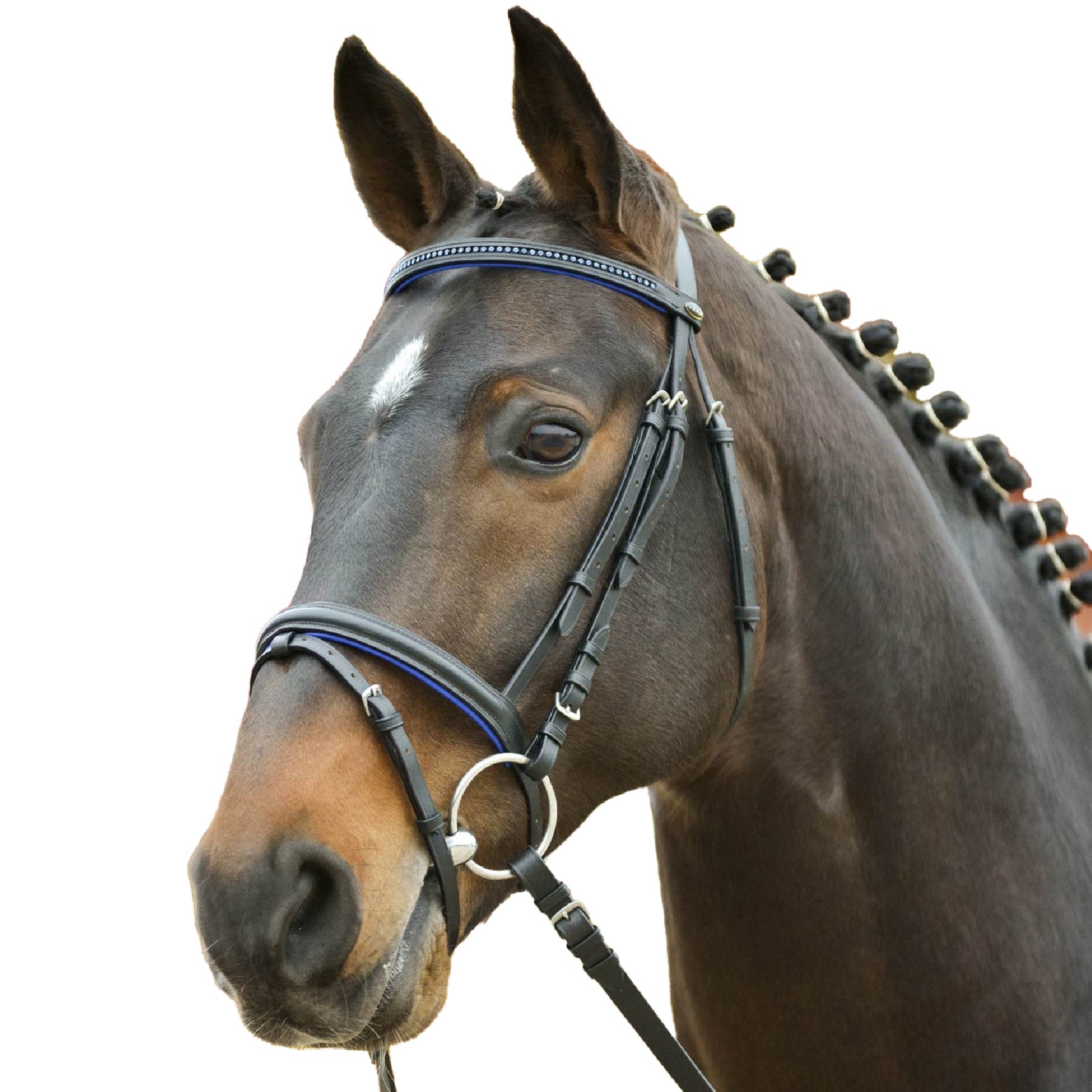 STAR - Bridle Diamant comb. noseband