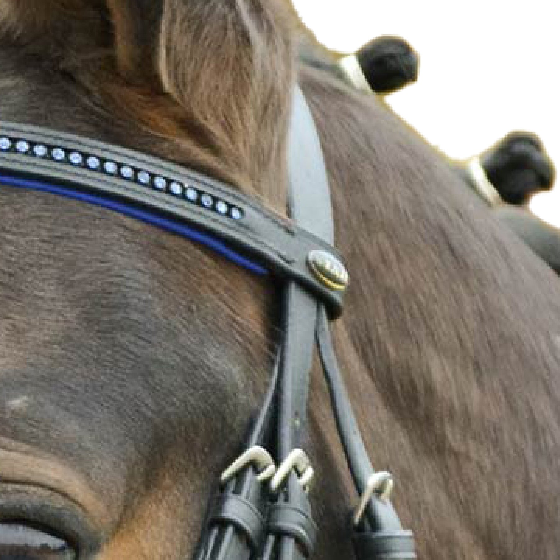 STAR - Bridle Diamant comb. noseband