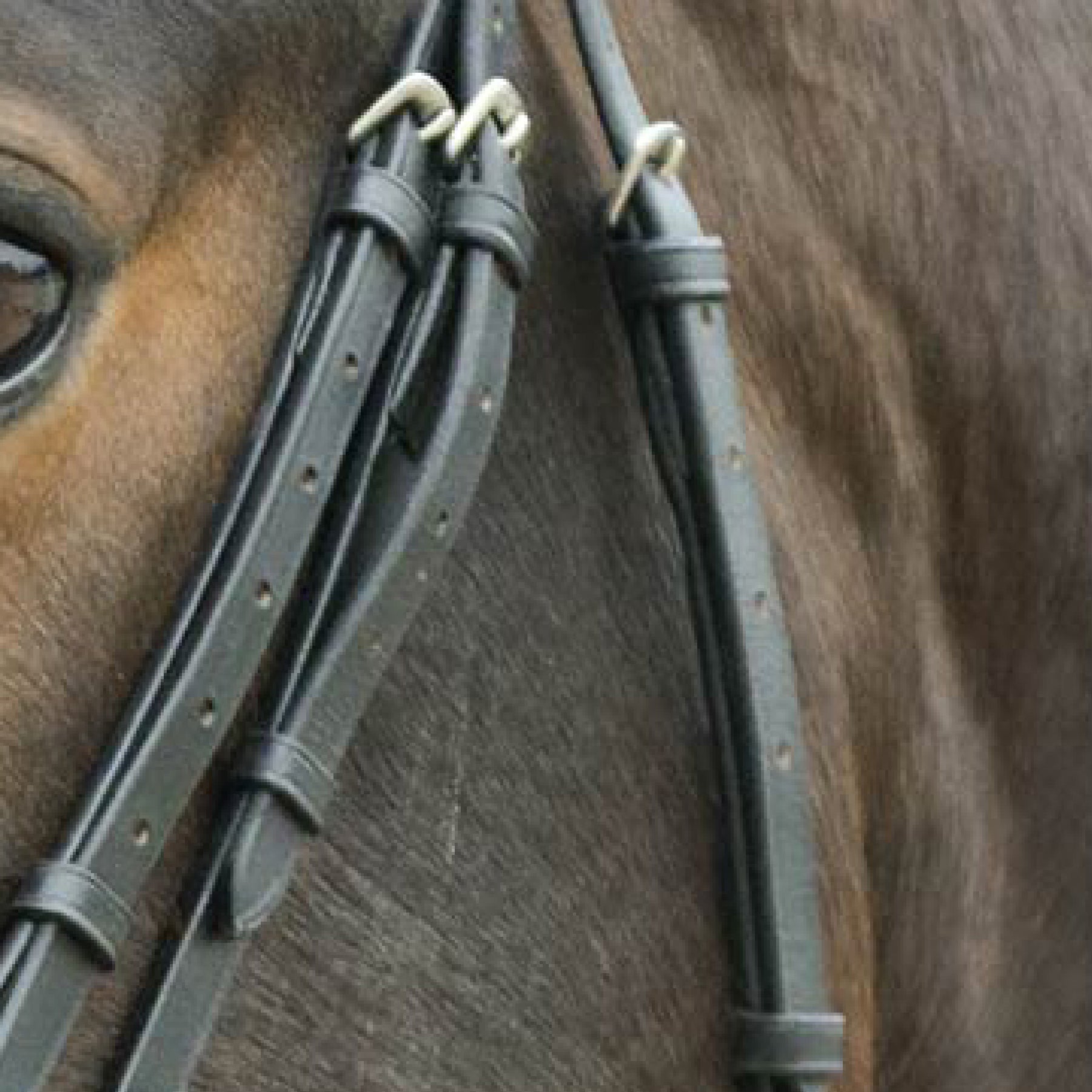 STAR - Bridle Diamant comb. noseband