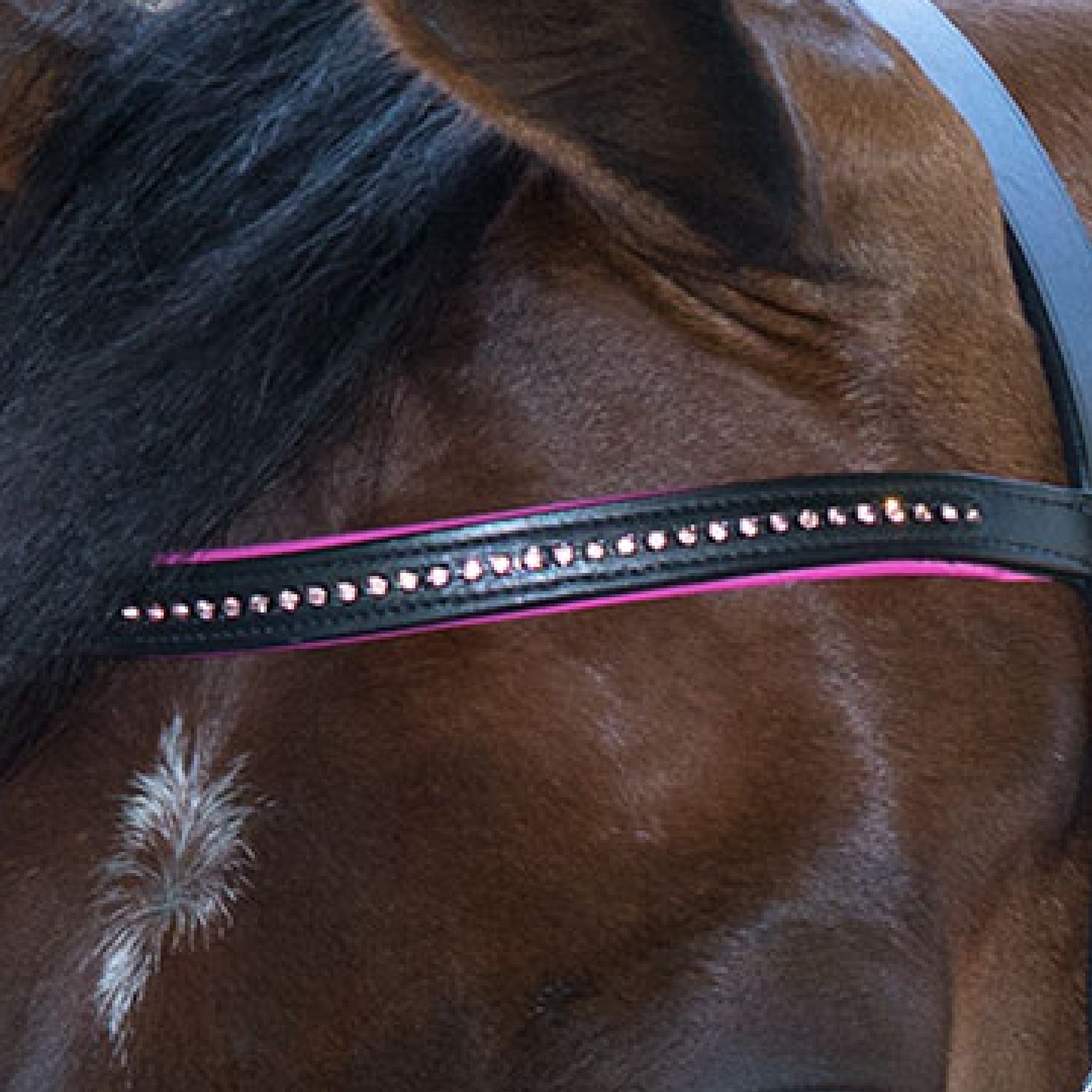 STAR - Bridle Diamant comb. noseband