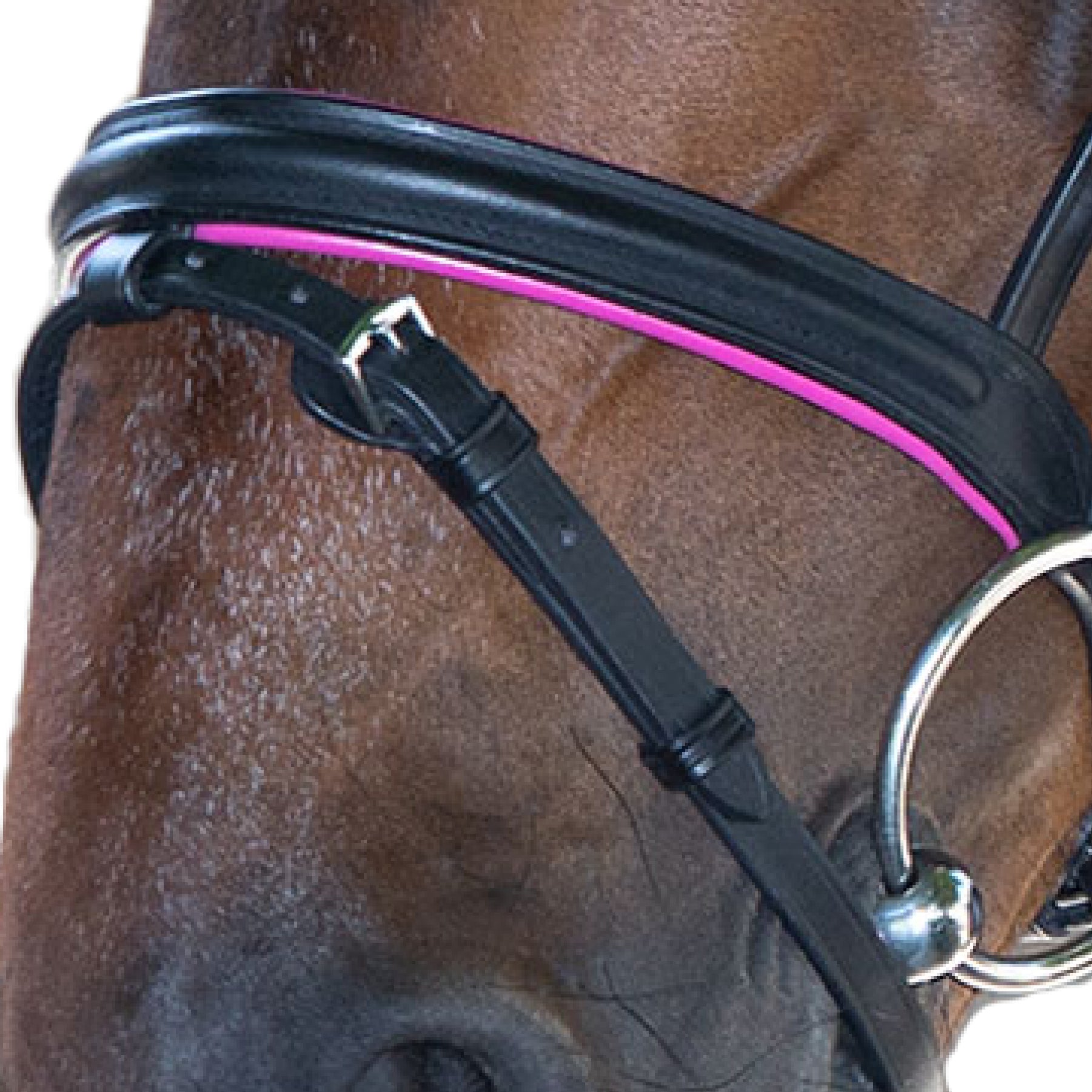 STAR - Bridle Diamant comb. noseband