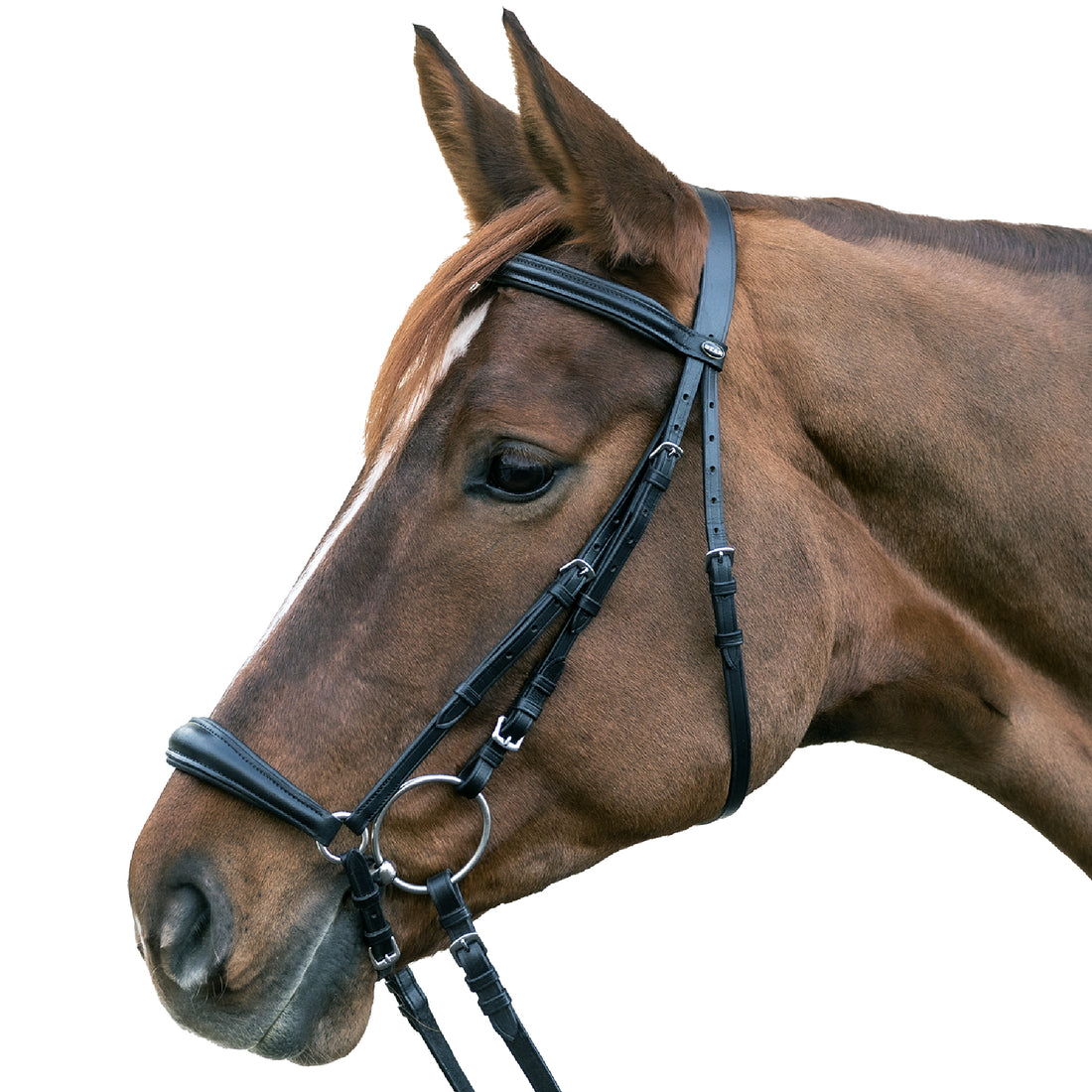 STAR - Bridle Hannover drop noseband, black