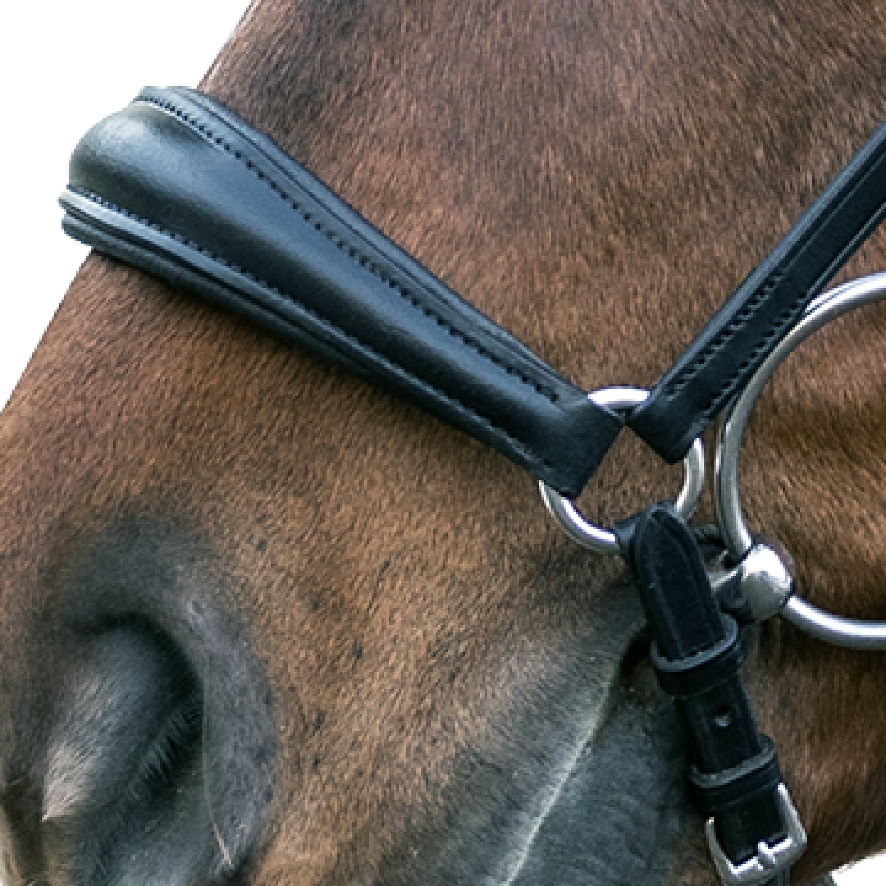 STAR - Bridle Hannover drop noseband, black