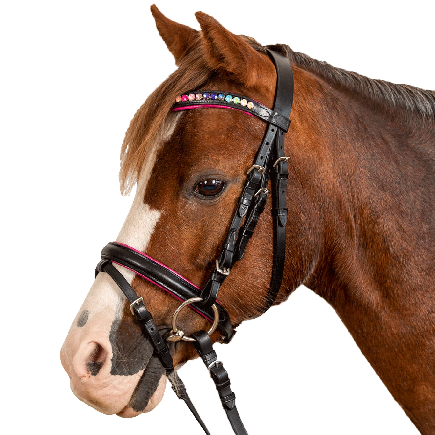 STAR - STAR Bridle Pinky comb.noseband, black
