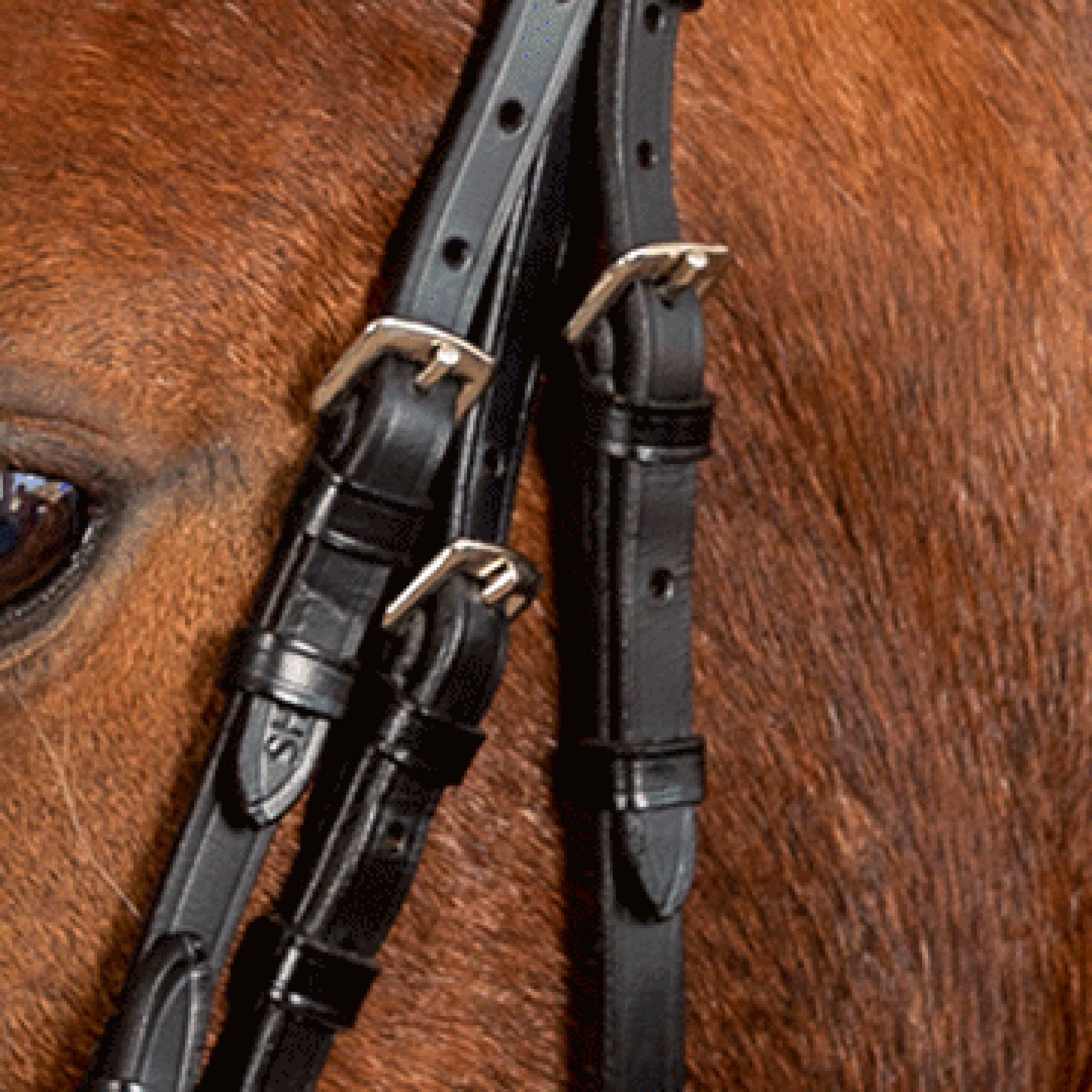 STAR - STAR Bridle Pinky comb.noseband, black