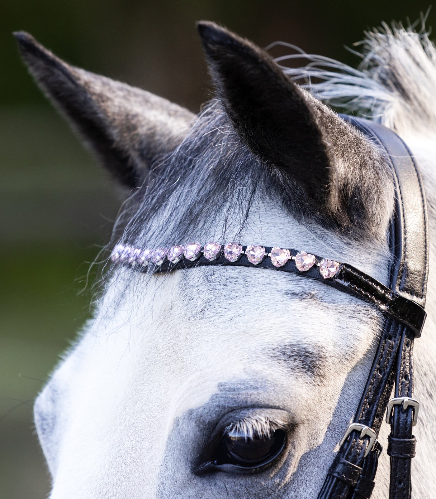 Waldhausen - Bridle Happy Hearts, black