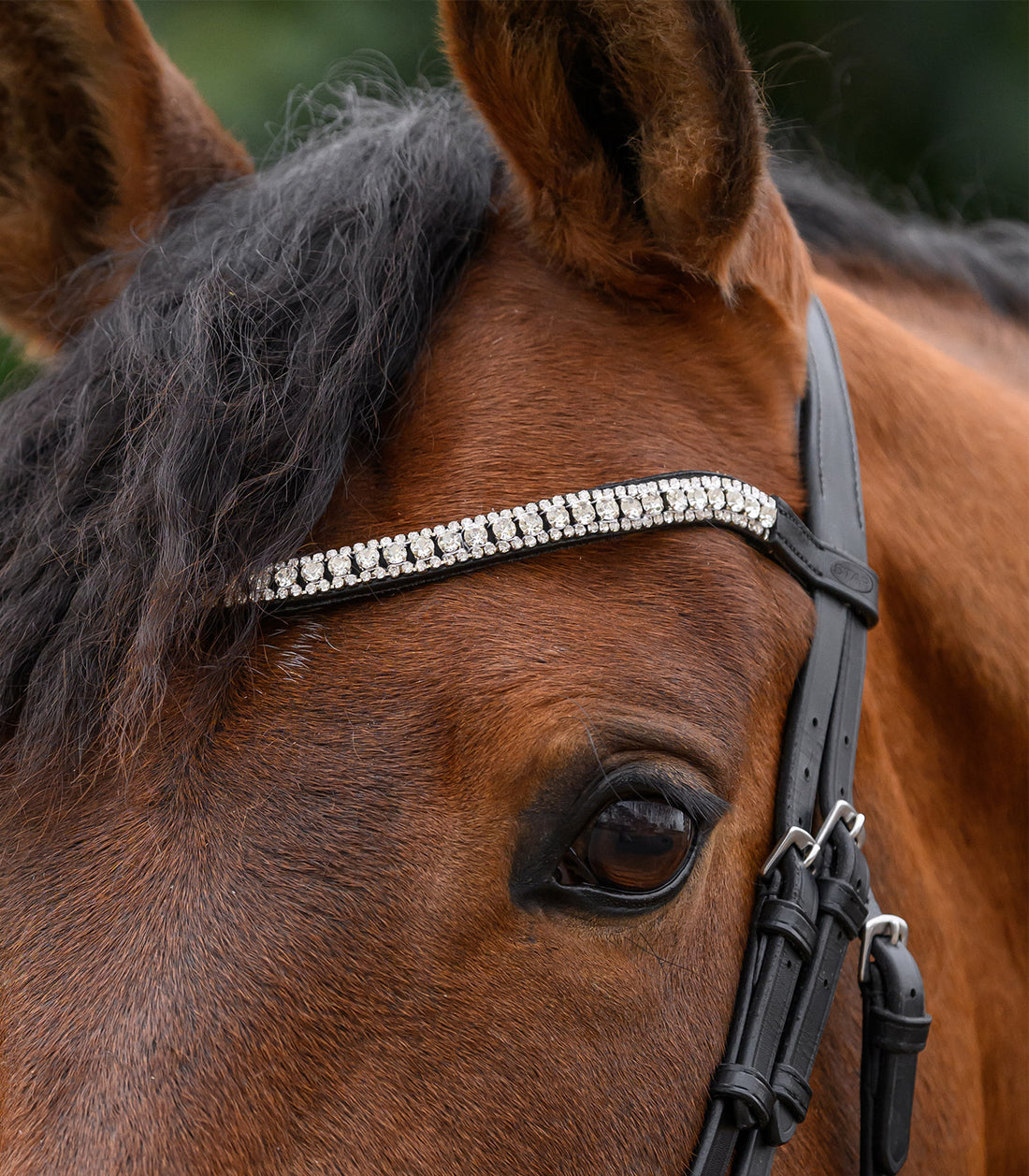 STAR - STAR browband Glitter