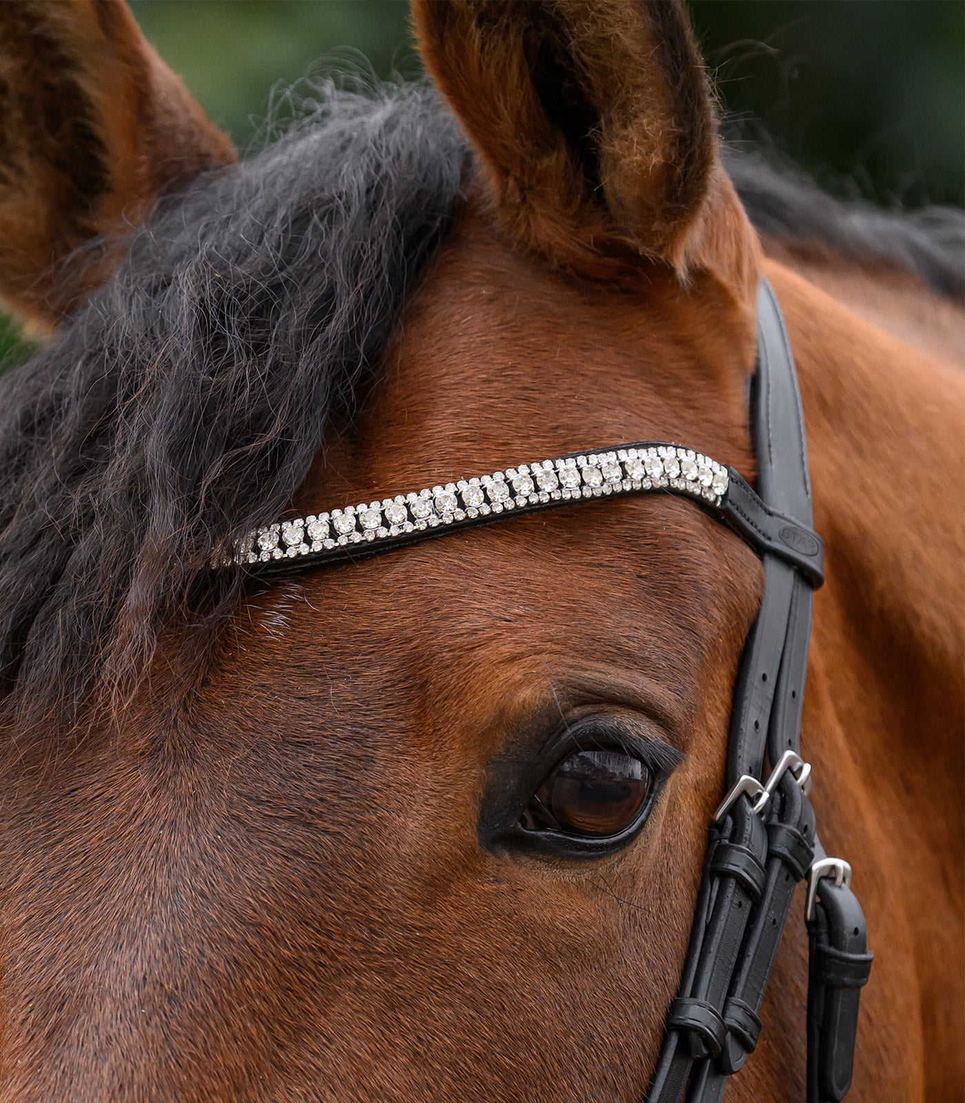 STAR - STAR browband Glitter