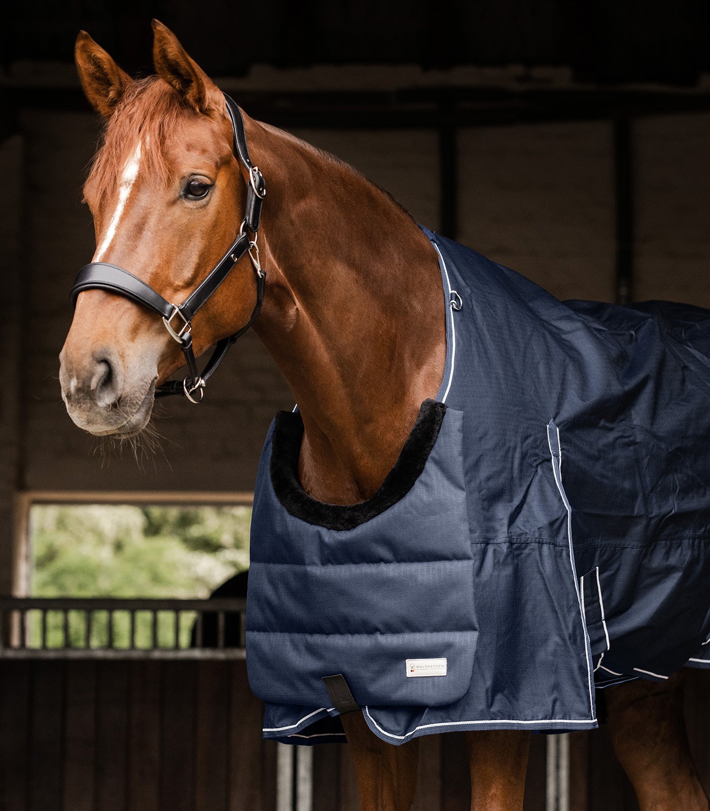 Waldhausen - Horse bib