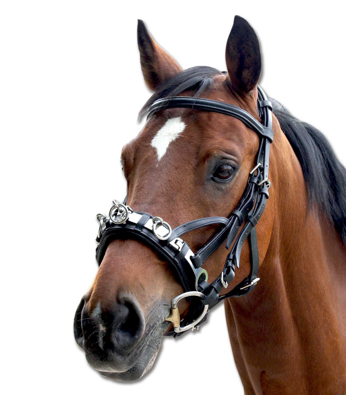 Waldhausen - Cavesson, Leather