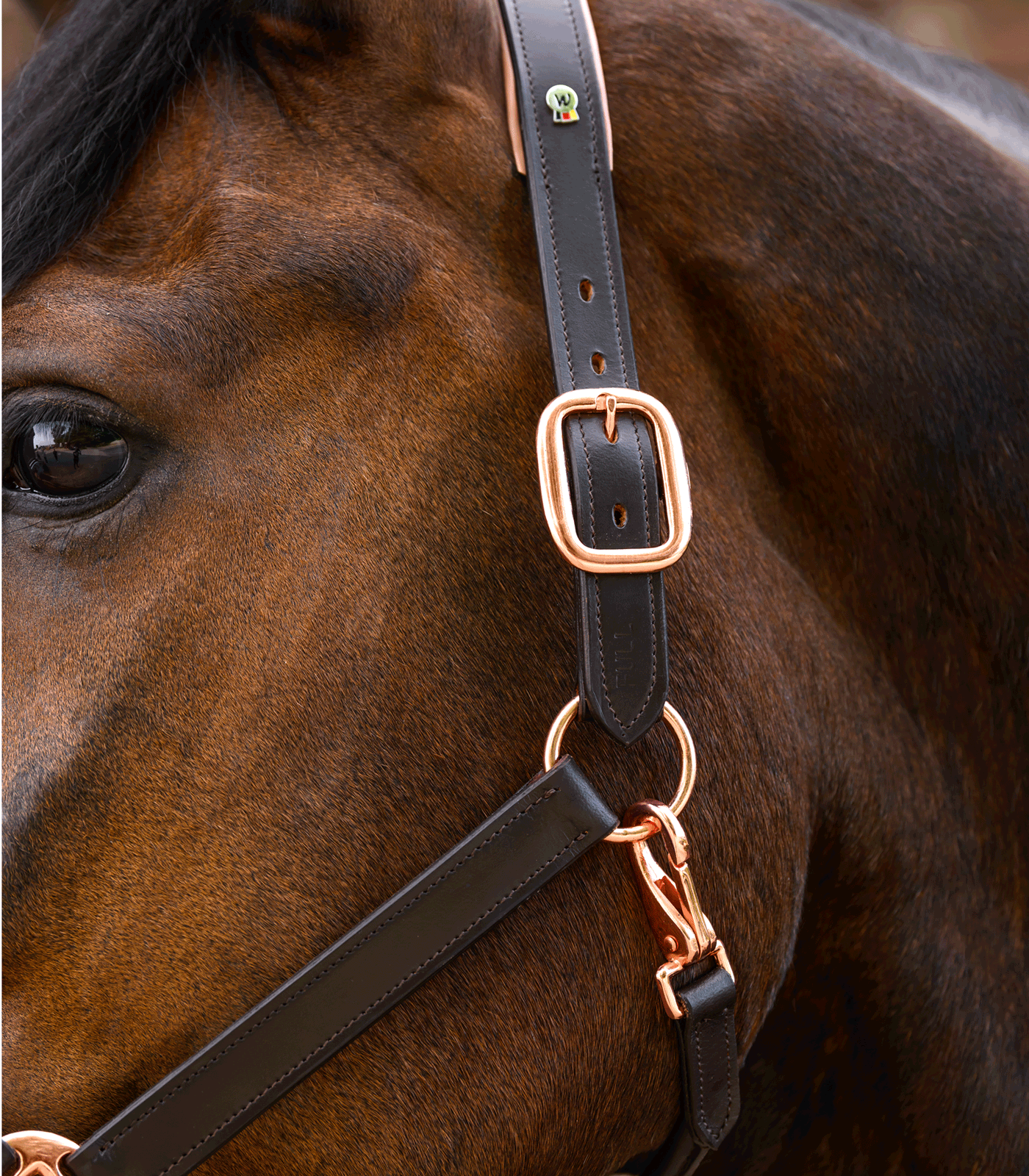 Waldhausen - Leatherhalter Rosé, X-Line