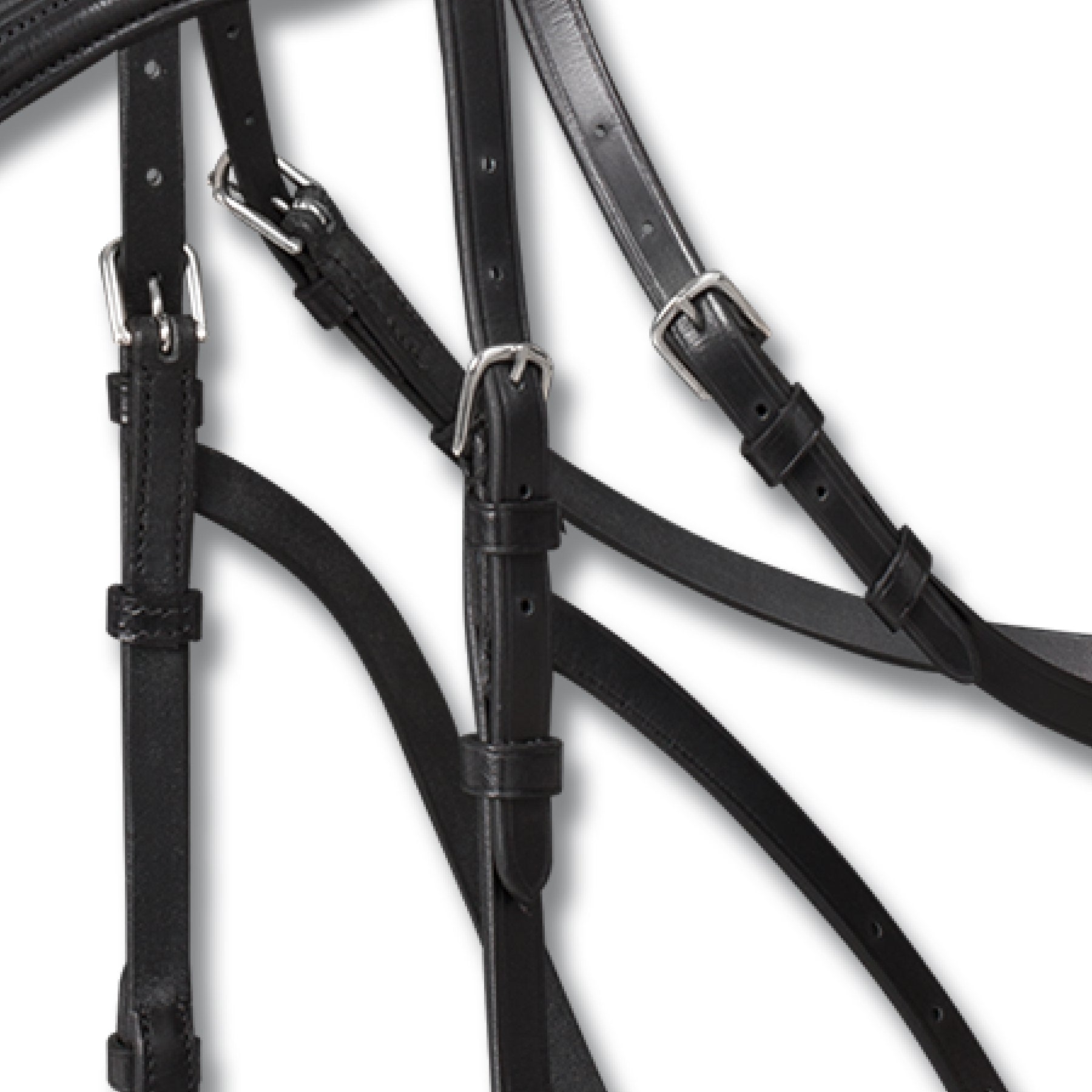 Waldhausen - Hackamore bridle X-Line