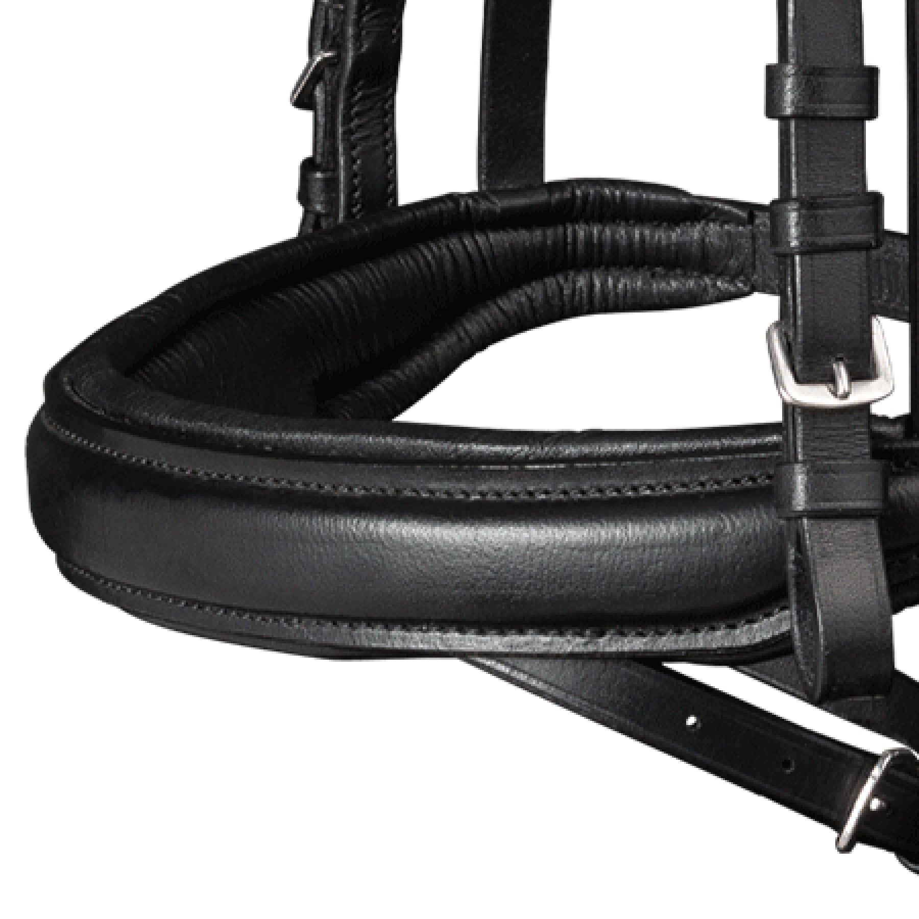 Waldhausen - Bridle X-Line Beauty, engl.comb., black