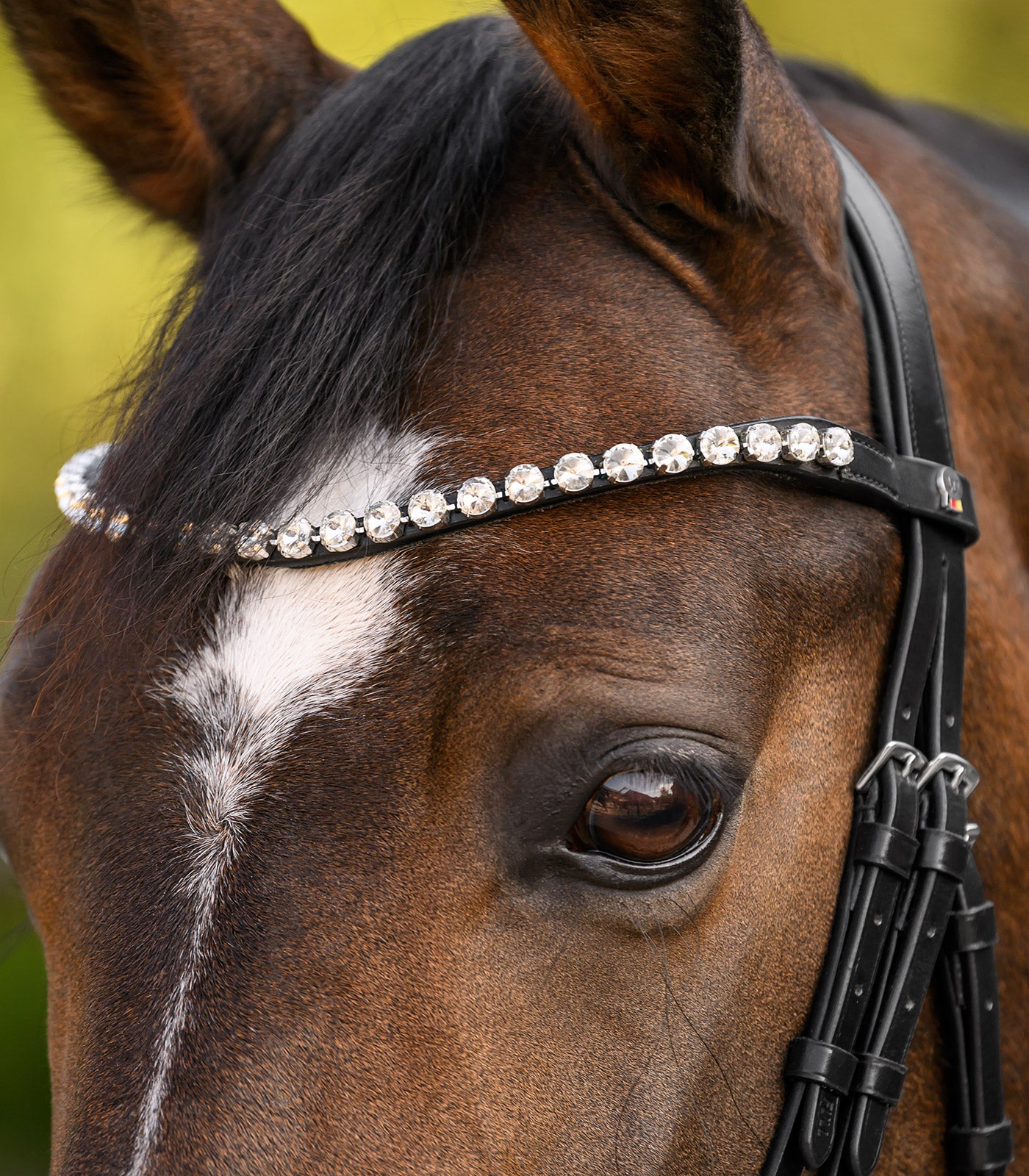 Waldhausen - Browband X-Line Boost
