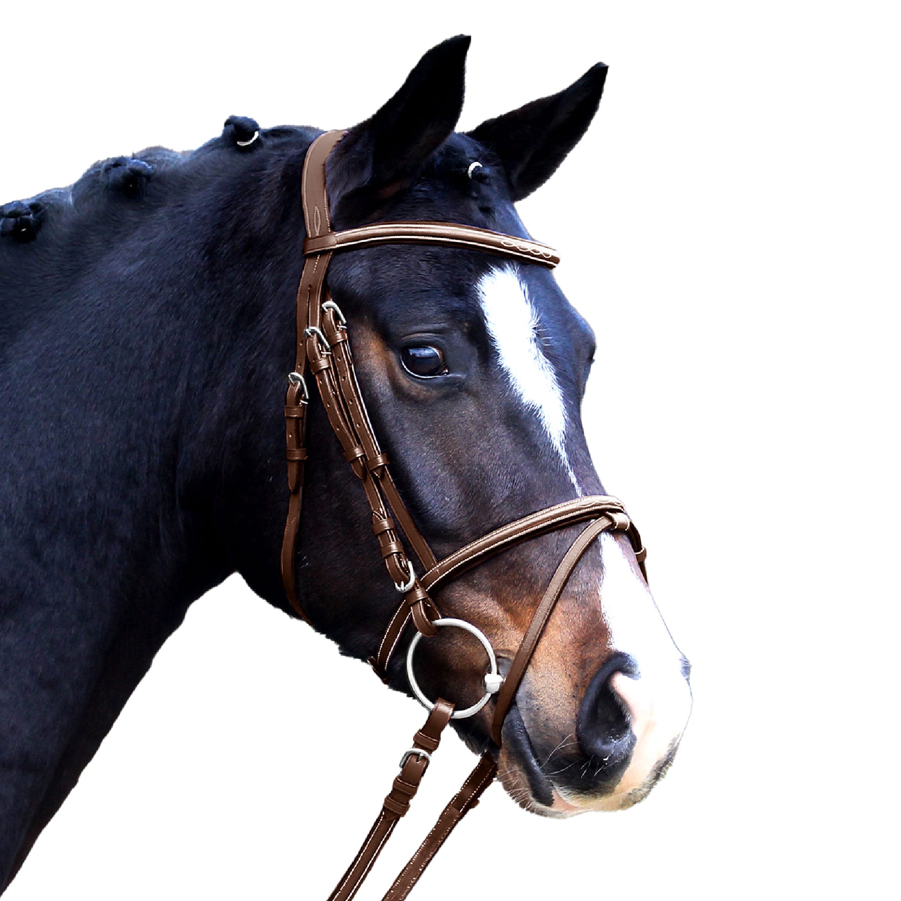 Waldhausen - Bridle X-Line Santander, comb. noseband