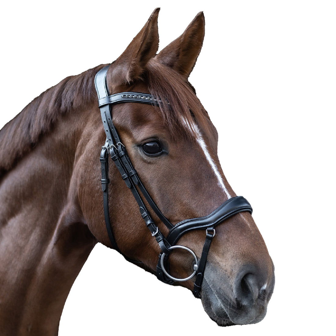 Waldhausen - X-Line bridle New Shape II, black