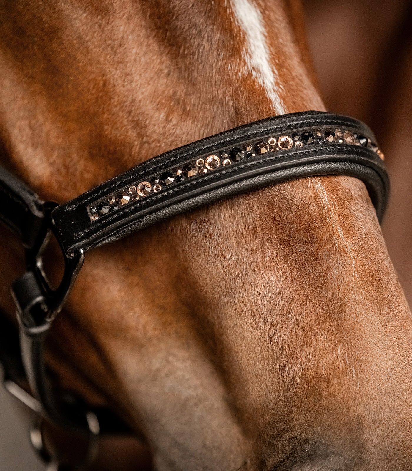 Waldhausen - Leatherhalter Crystal