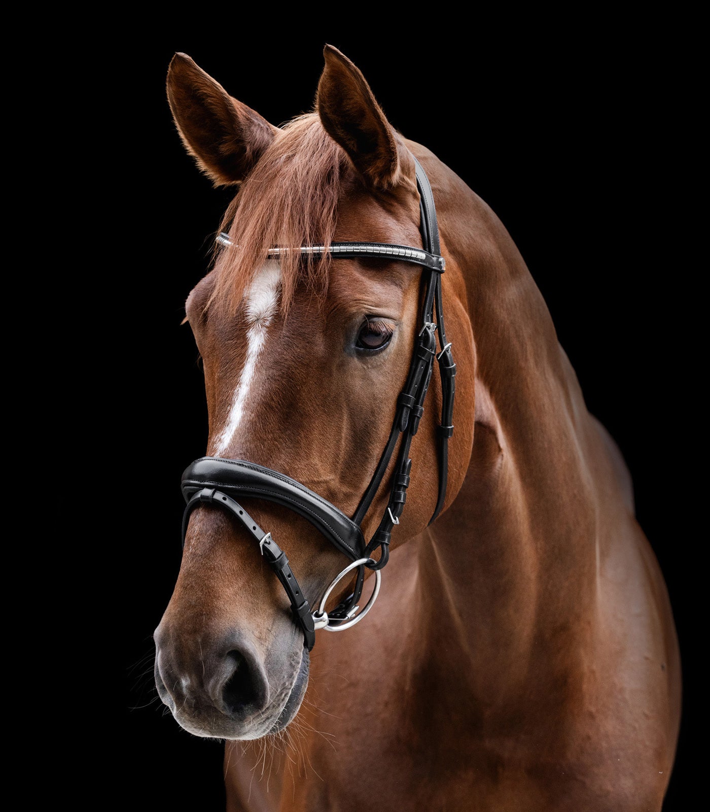 Waldhausen - bridle X-Line Clincher
